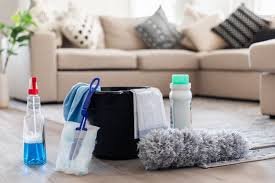 Standard Home Clean