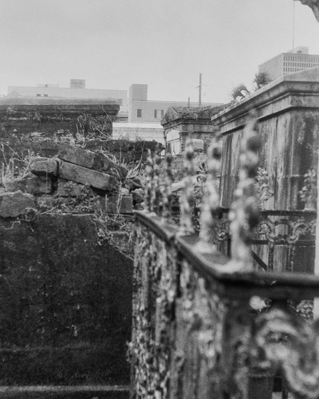 NOLA BNW FINAL 13.jpg