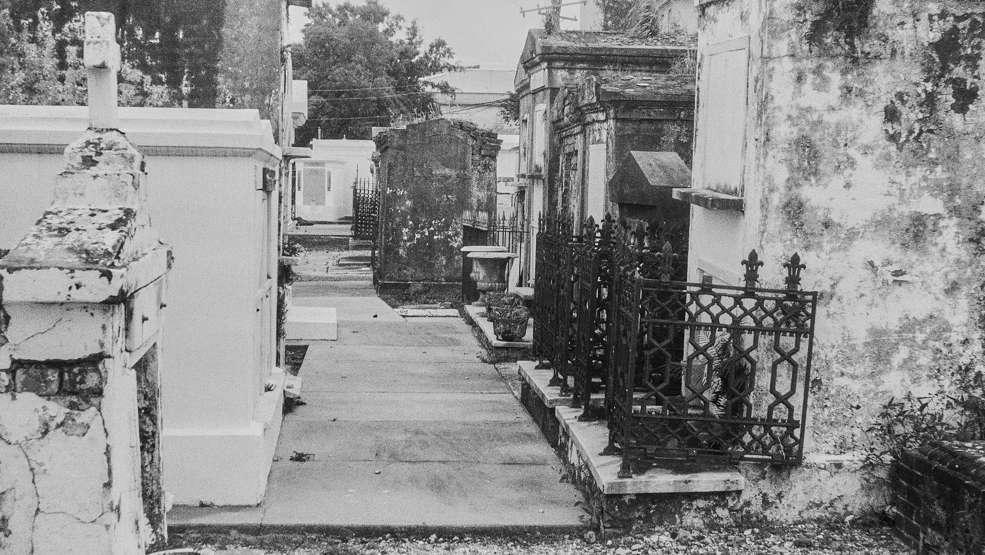 NOLA BNW FINAL 8.jpg