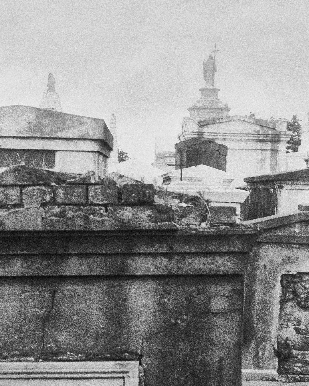 NOLA BNW FINAL 5.jpg