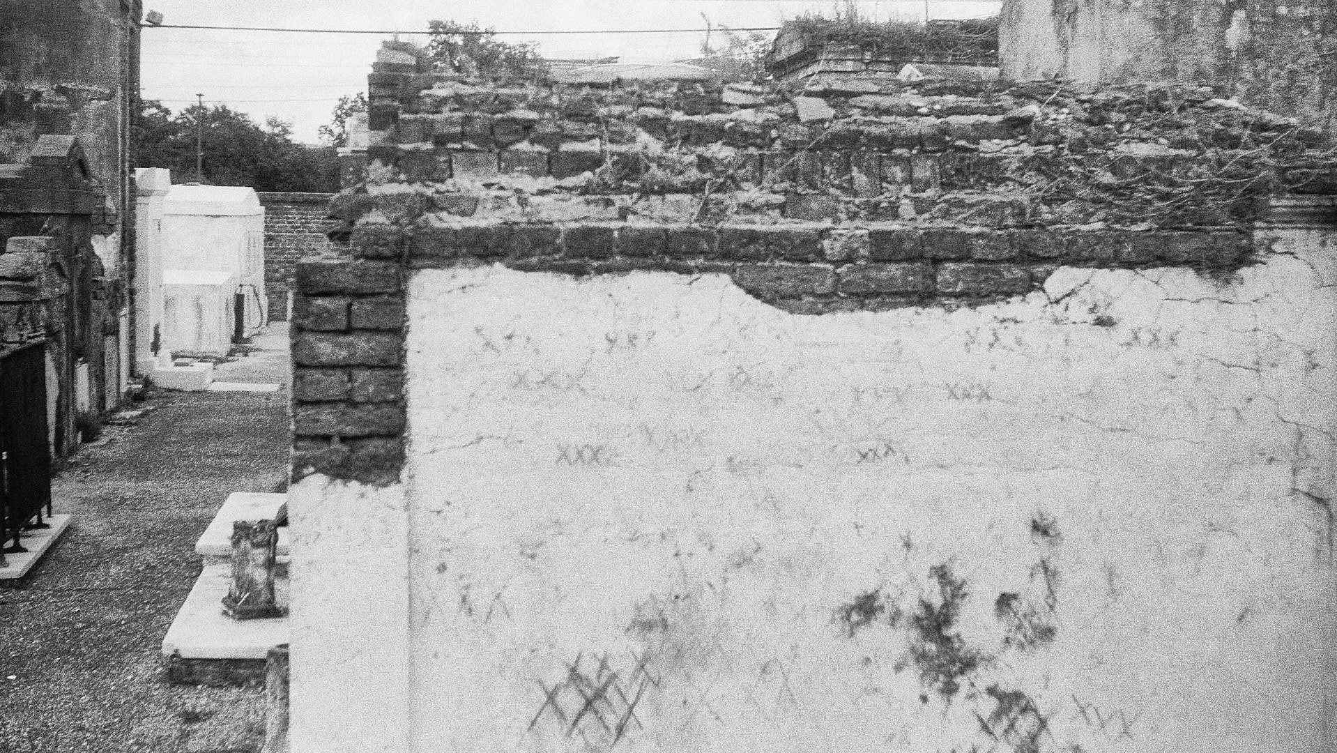 NOLA BNW FINAL 12.jpg
