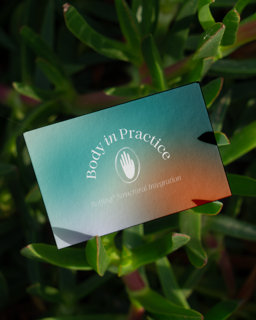 Professional print collateral and marketing brochure design for Body in Practice by Dupuy&Co.