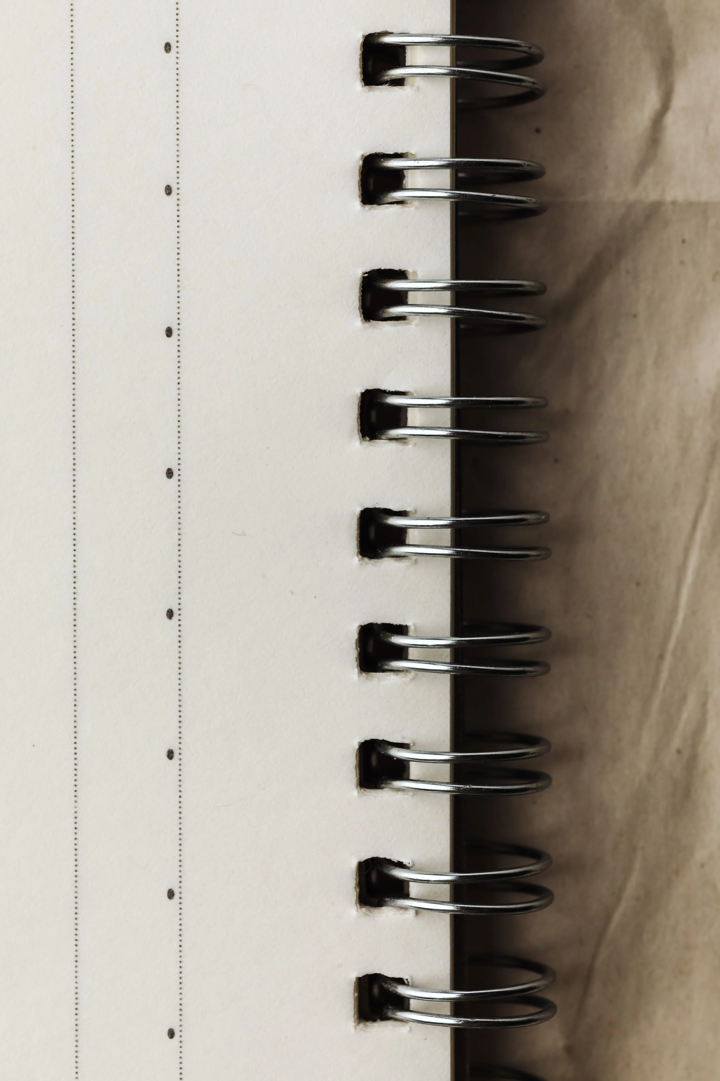 Close-up of a spiral-bound notebook showing the metal rings inserted into the punched holes of the pages.