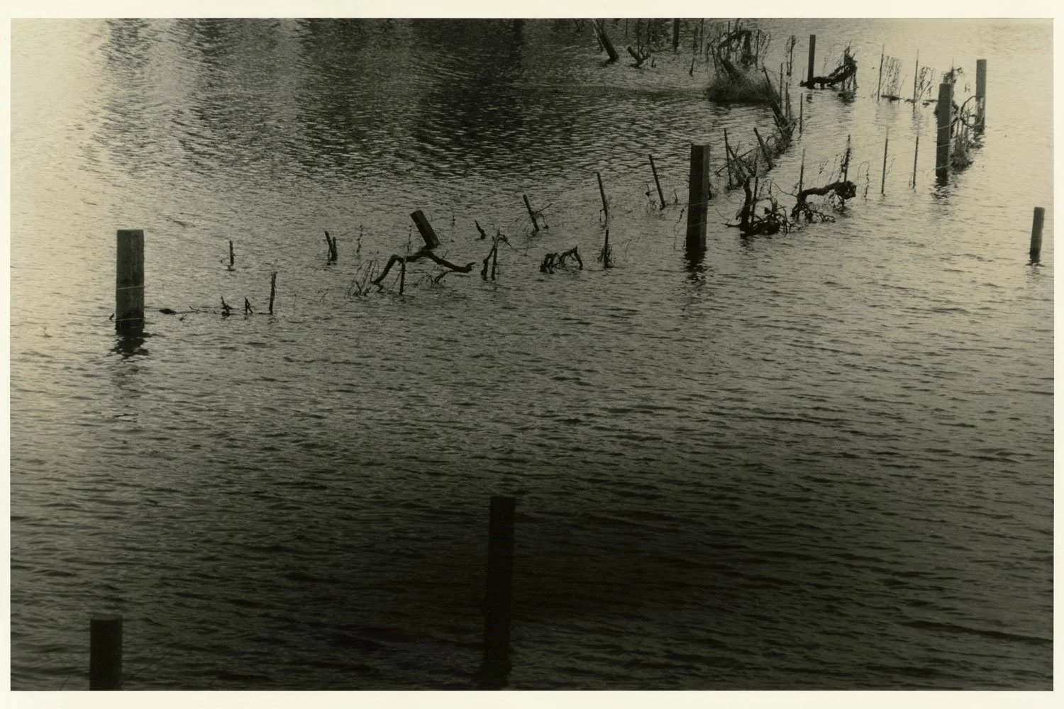 4-Robin-Dintiman-Laguna-de-Santa-Rosa-Flooding-Fence-Detritus-.jpg