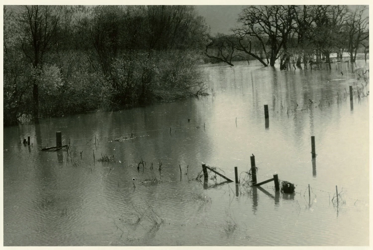 2-Robin-Dintiman-Laguna-de-Santa-Rosa-Flooding-Darker.jpg