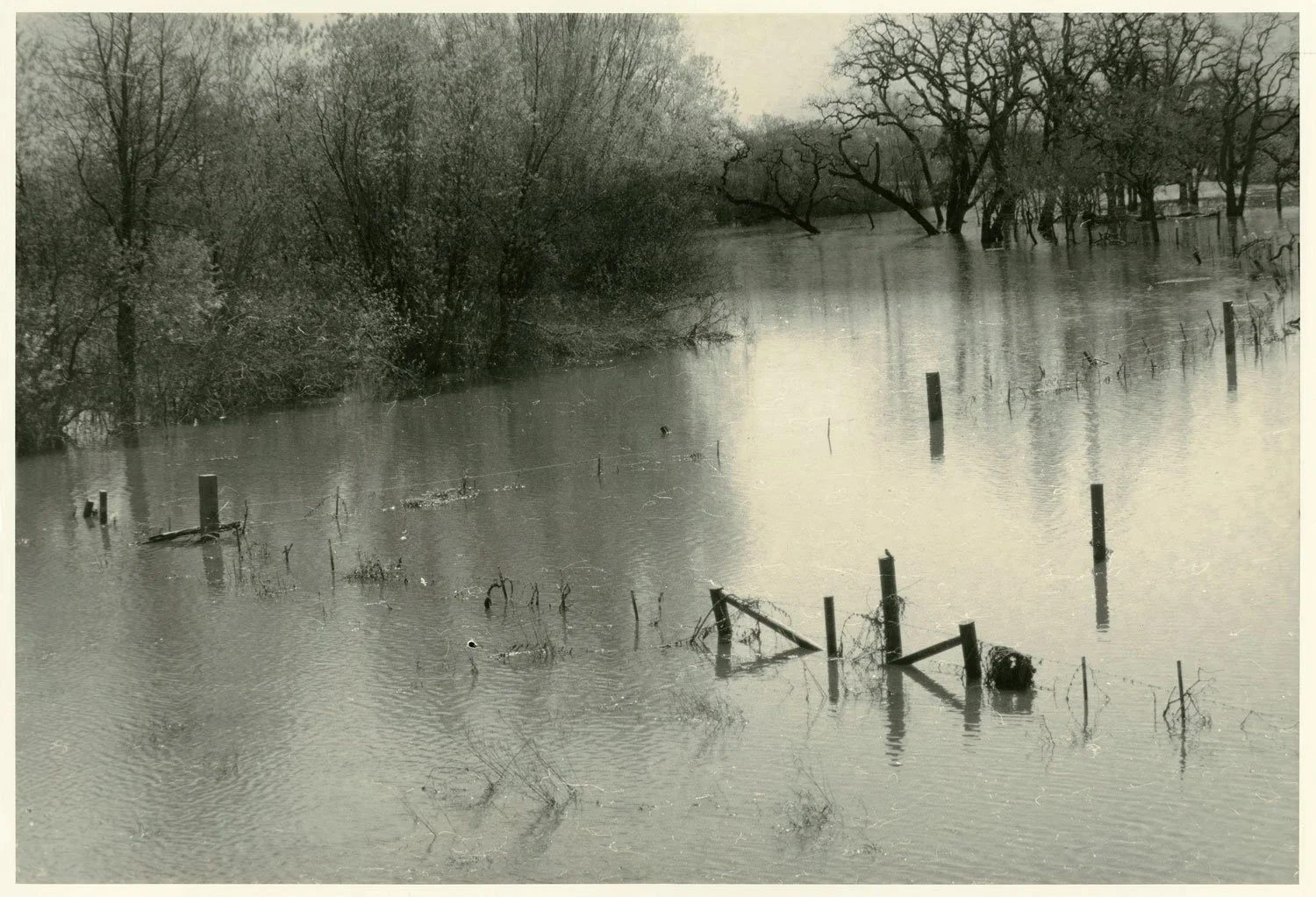 1-Robin-Dintiman-Laguna-de-Santa-Rosa-Flooding-Sun.jpg