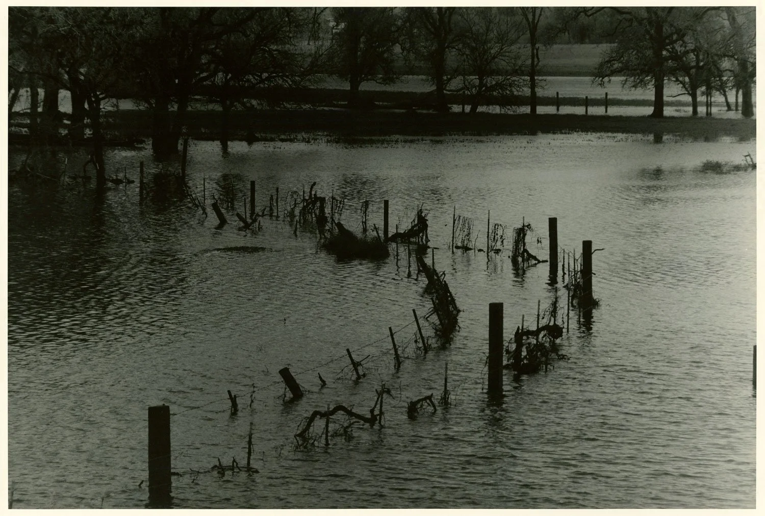 5-Robin-Dintiman-Laguna-de-Santa-Rosa-Flooding-at-Dusk.jpg