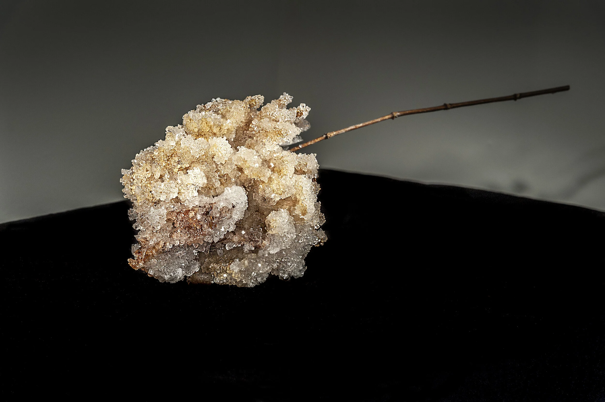Lost to Me- Hydrangea Crystal #2.jpg