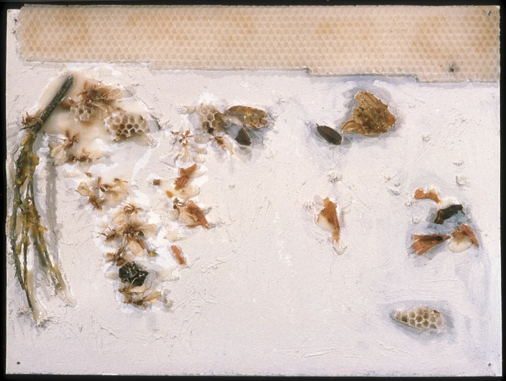 RD-00009.jpg