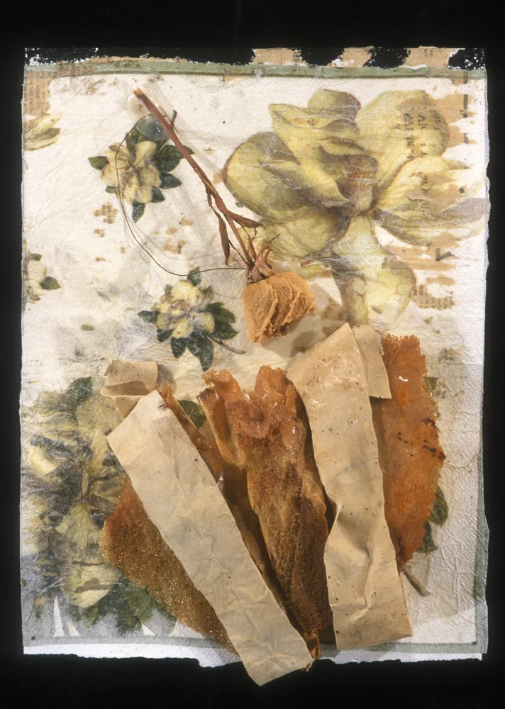 Collages
