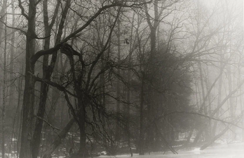 _DLD0128.jpg