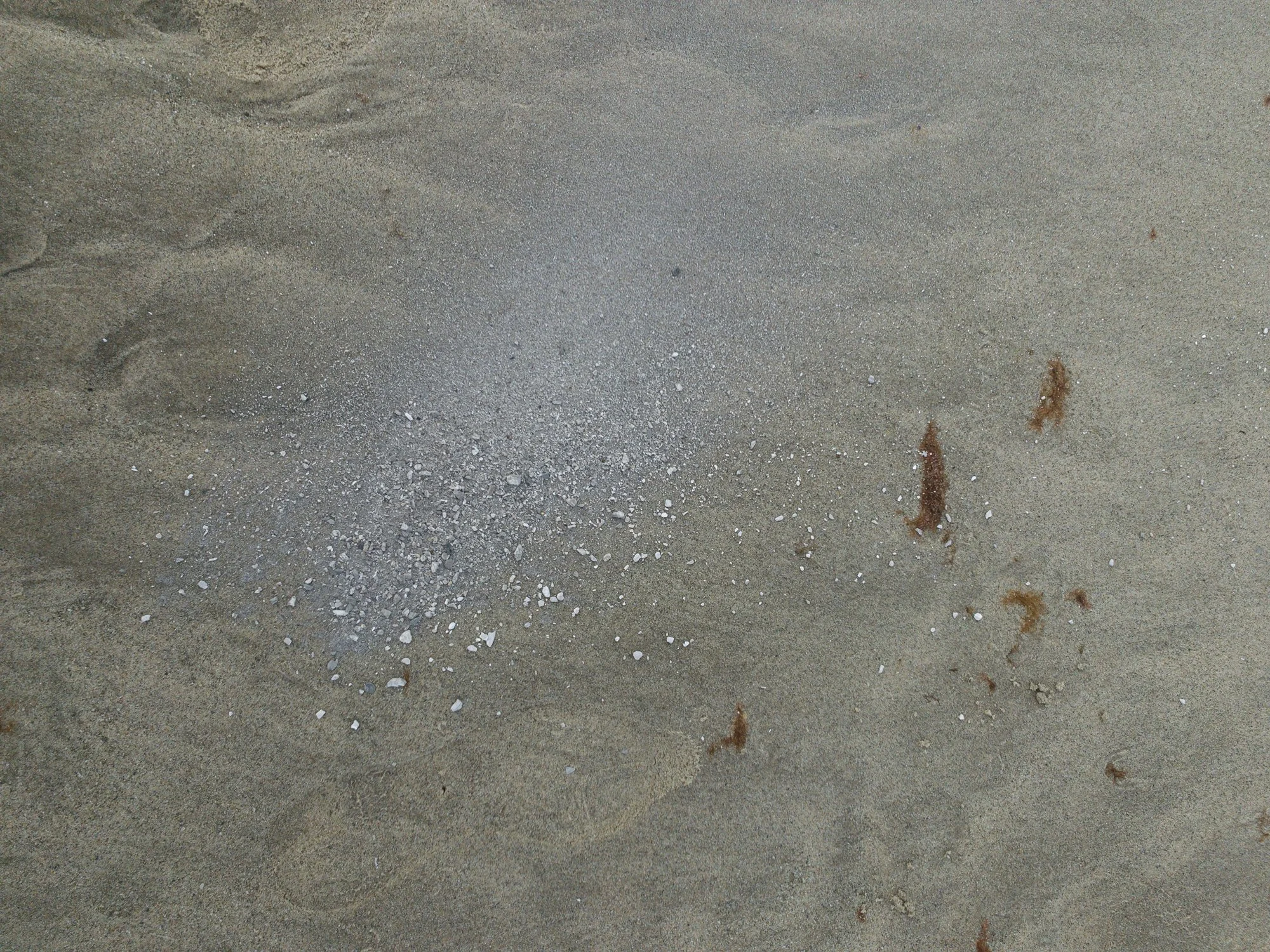 Ashes_-27.jpg