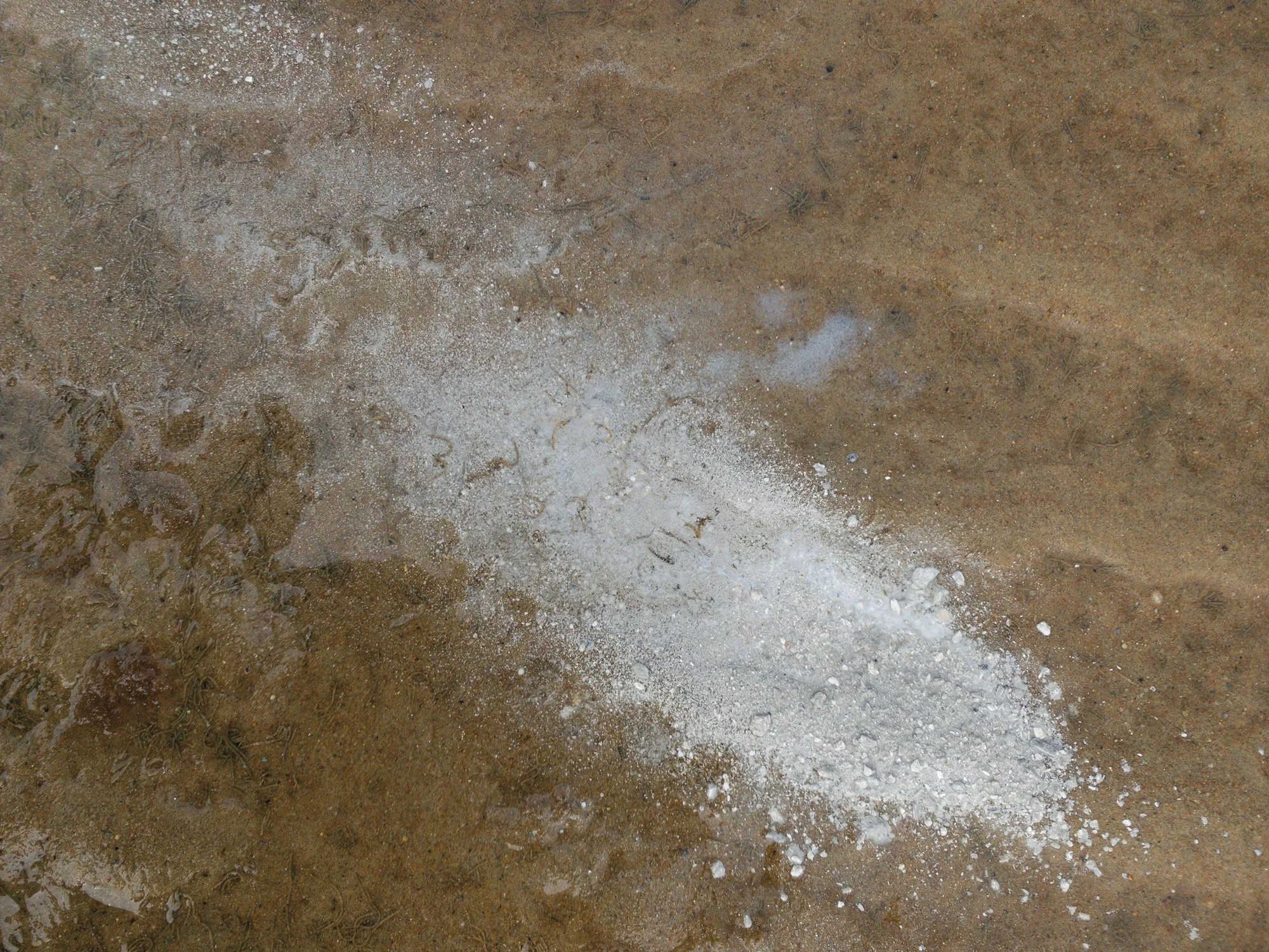 Ashes_-44.jpg