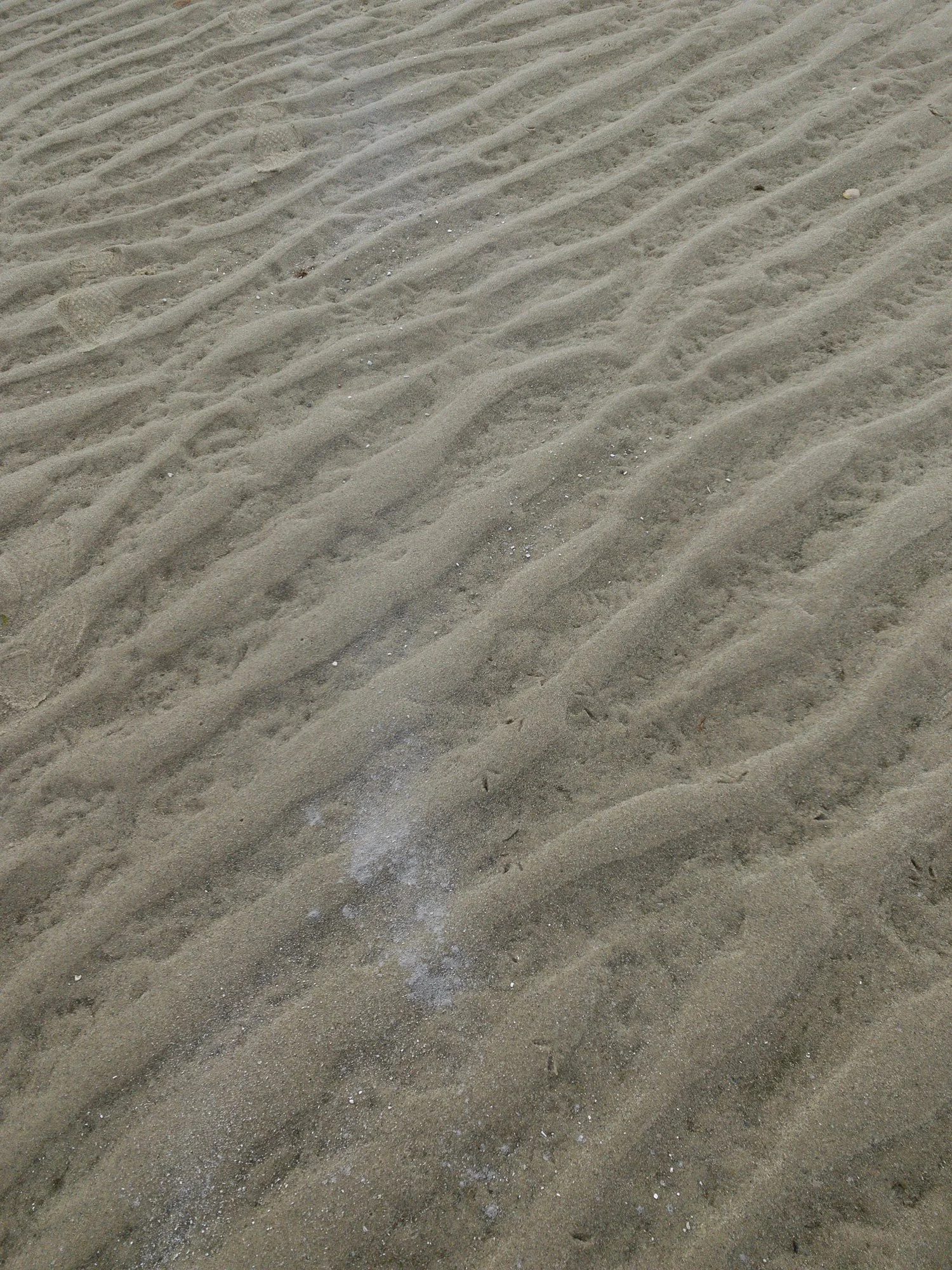 Ashes_-56.jpg