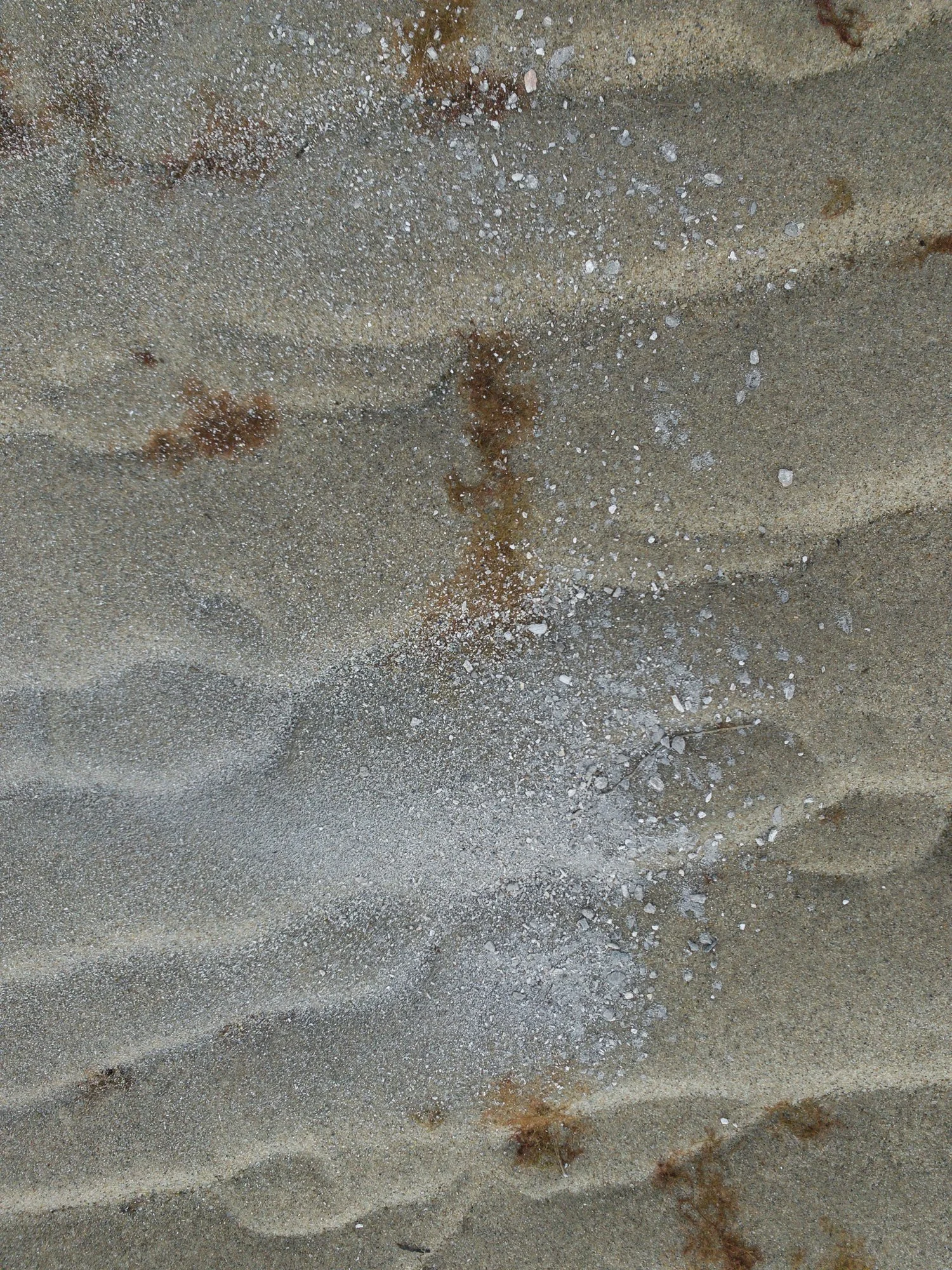 Ashes_-23.jpg