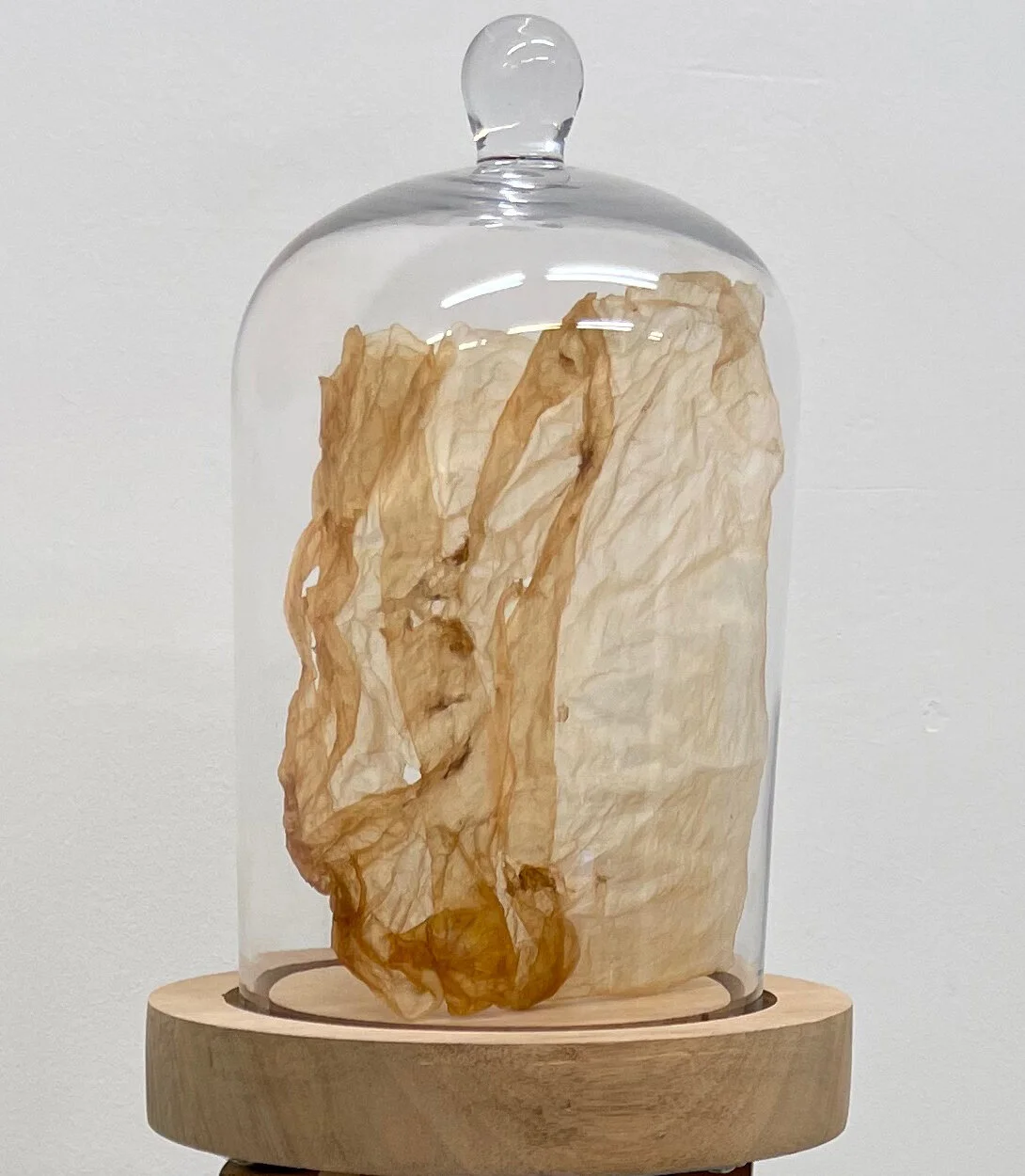 “Thin as Our Skin - Placenta Into Earth”