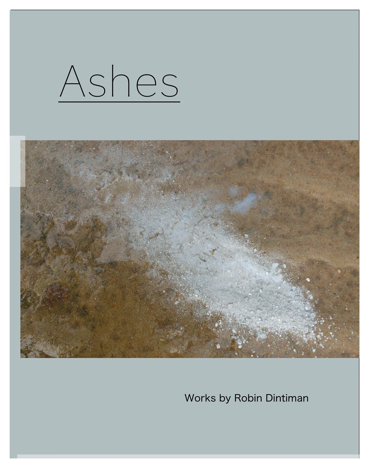 book: Ashes