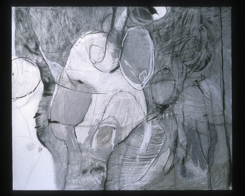 RD-00017.jpg