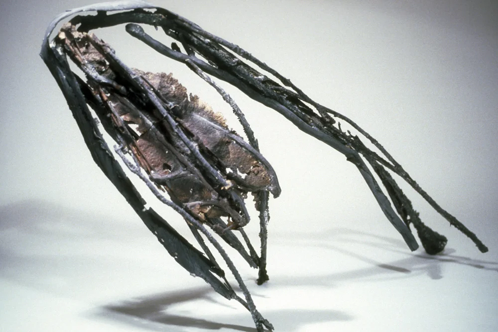 RD-00085.jpg