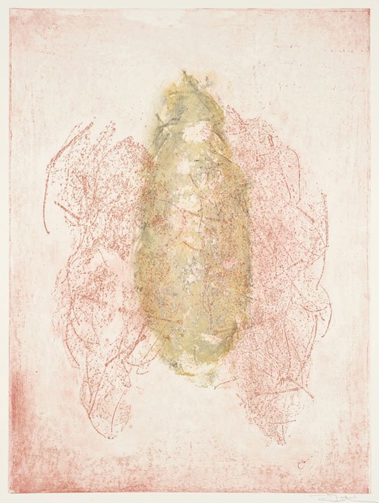 "Nest #1 in Crimson", photogravure