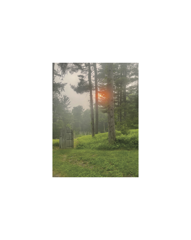 book: The Materiality of Being Invisible, Millay Arts, Austerlitz NY