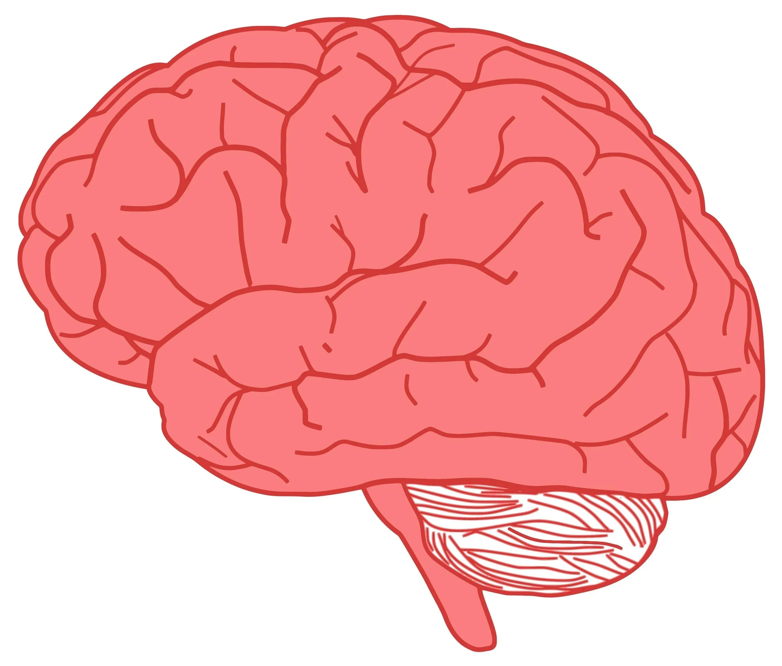 Exploring Recovery in Autism and Optimal Outcomes