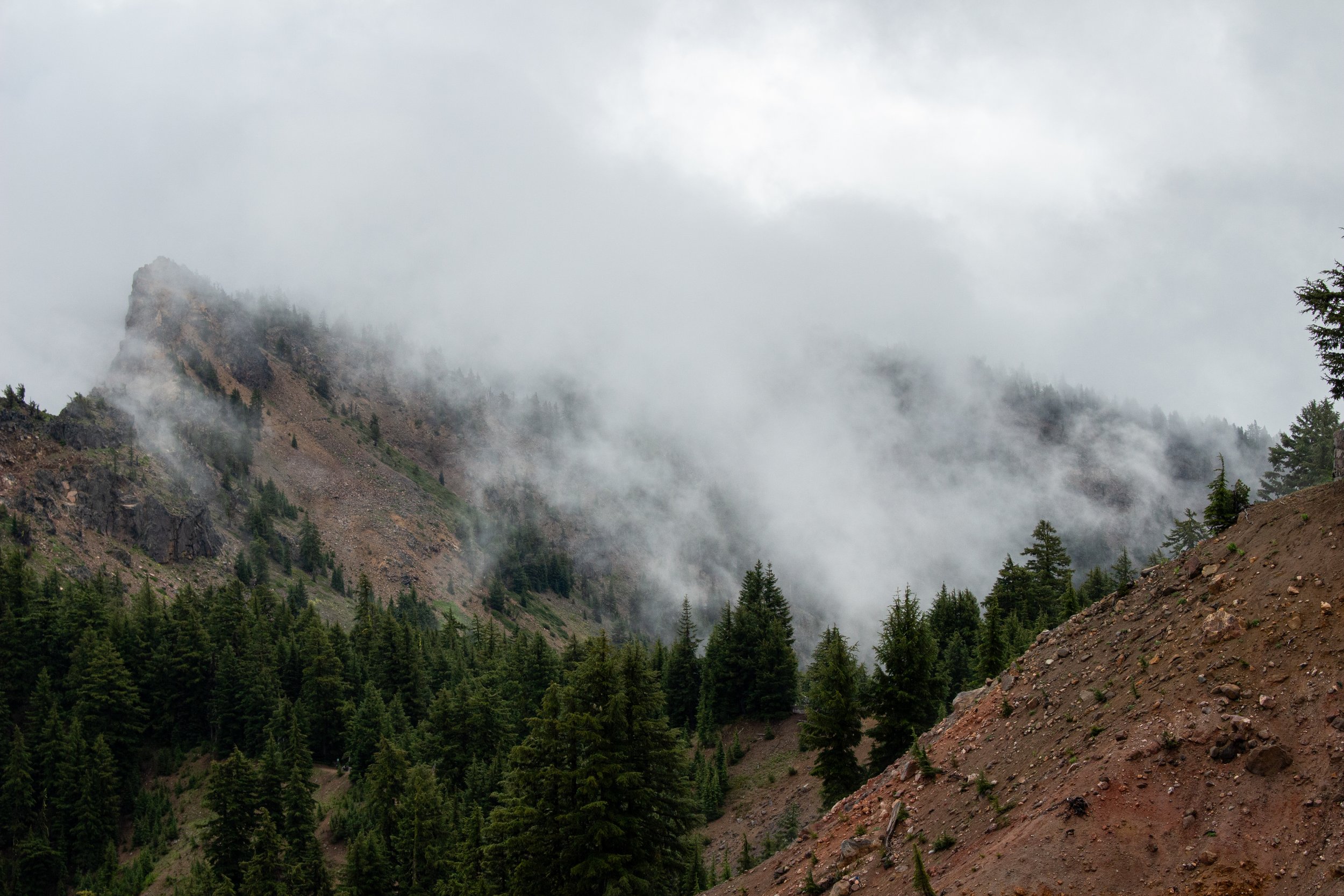 Mountain landscape with pine trees, rocky slopes, and mist or fog surrounding the peaks.