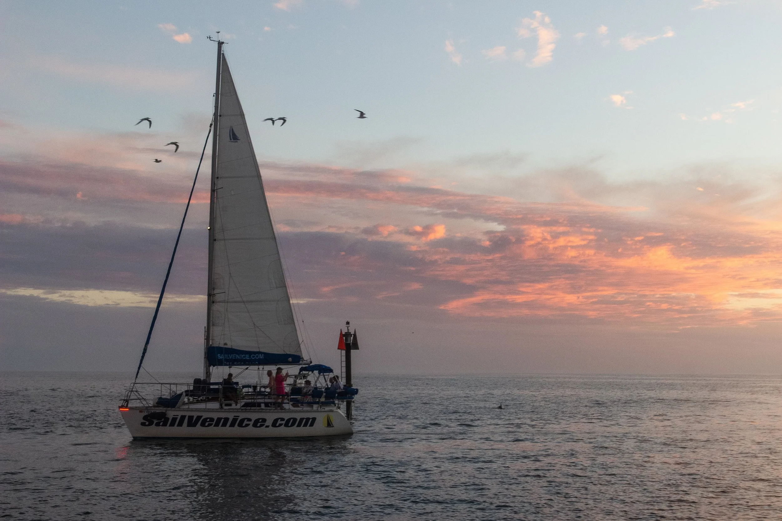 A sailboat with the words 'SailVenice.com' on its hull, sailing on calm waters during sunset, with a pink and orange sky and a few birds flying overhead.