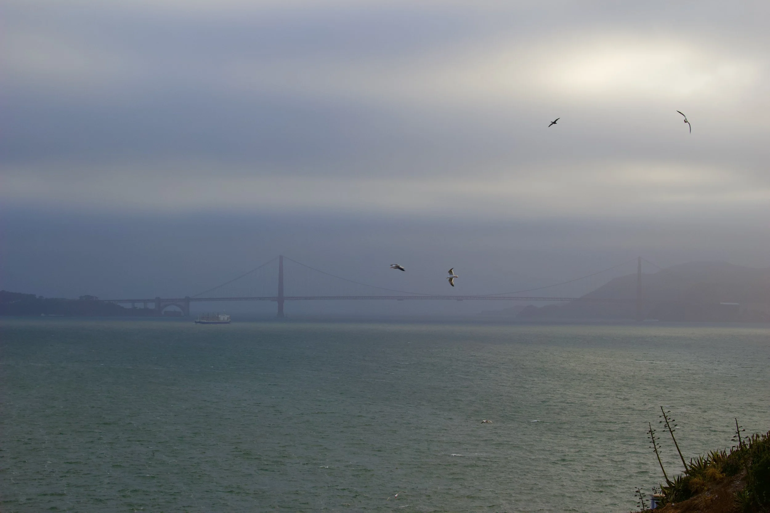 A foggy scene of the San Francisco Bay with the Golden Gate Bridge partially visible in the background, seagulls flying over the water, and a boat sailing on the bay.