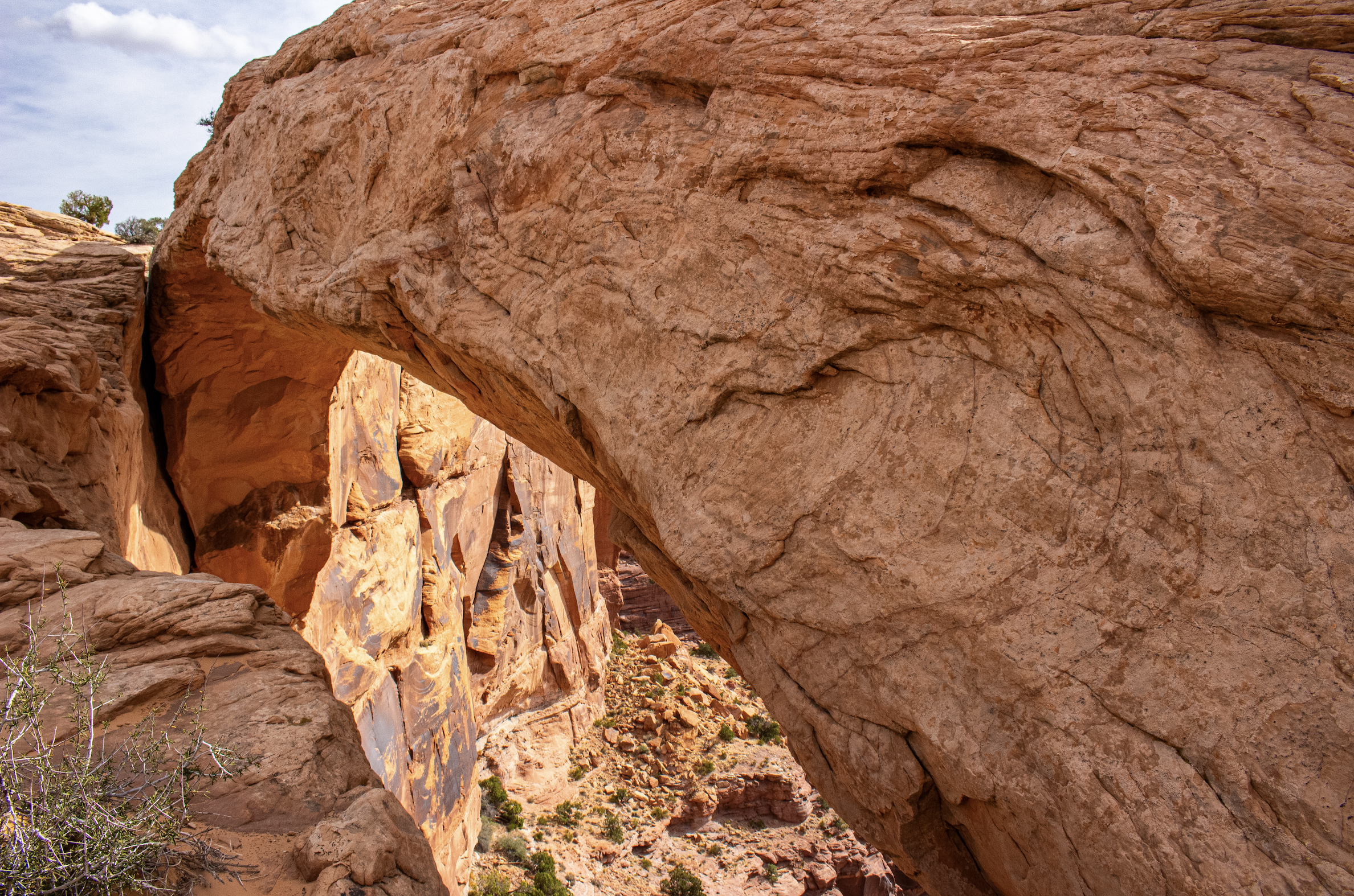 Red rock canyon landscape with natural arch formation and scattered desert vegetation under a partly cloudy sky.