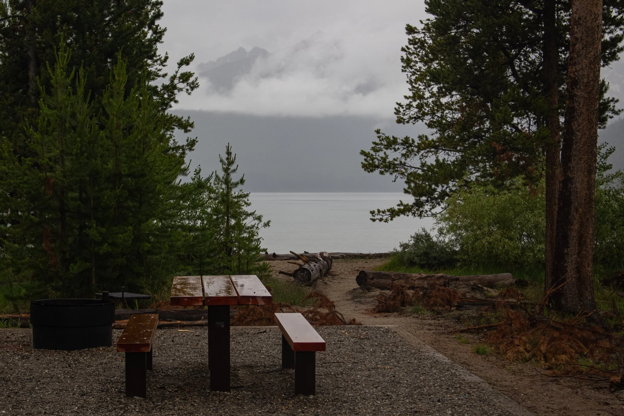 A wooded lakeside area with a picnic table and benches on gravel ground, surrounded by tall pine trees and a fallen log, overlooking a cloudy lake with misty mountains in the background.