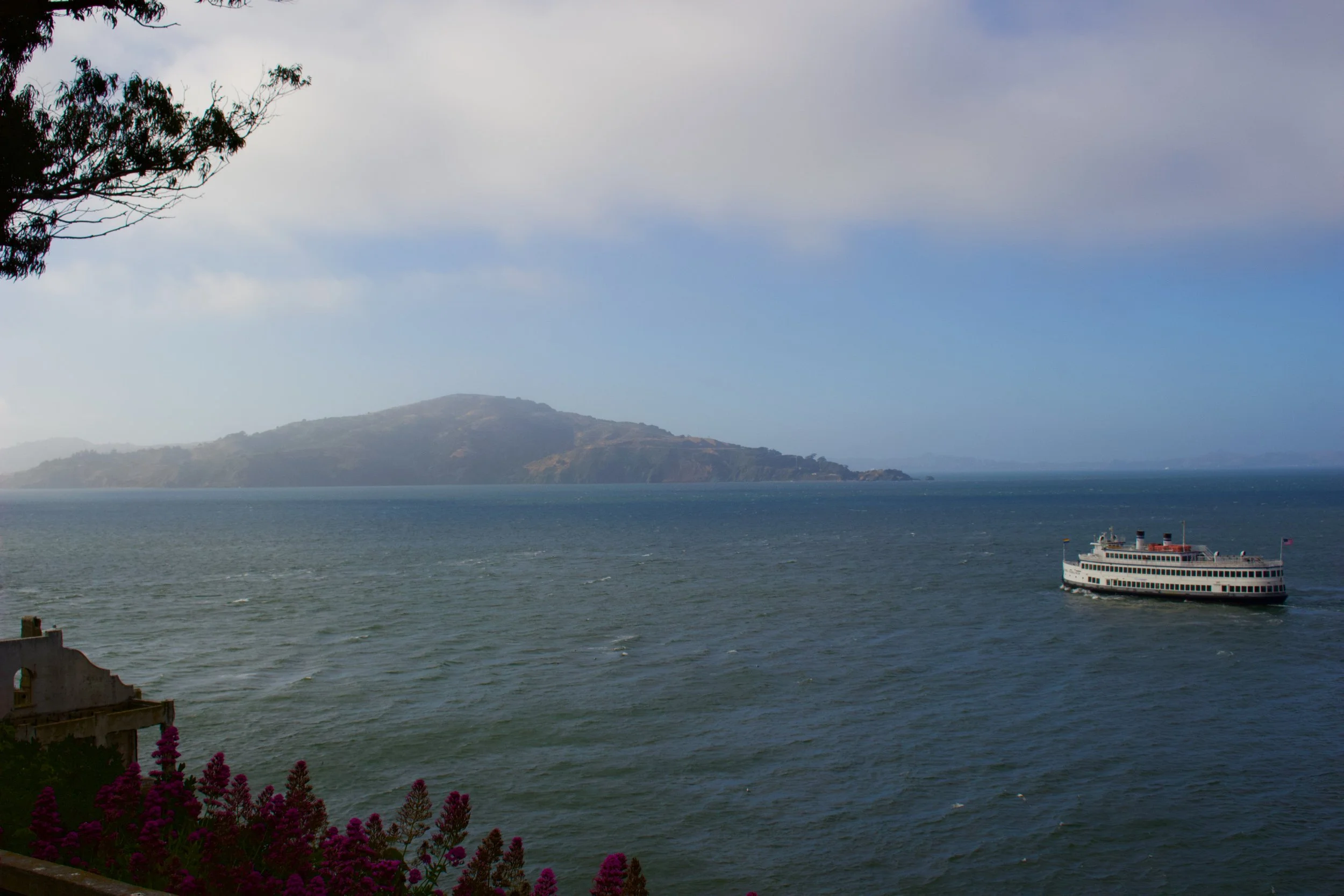 A view of a bay with water, an island or peninsula in the distance, and a cloudy sky. There is a cruise ship sailing in the water near the shore, and some purple flowers in the foreground.
