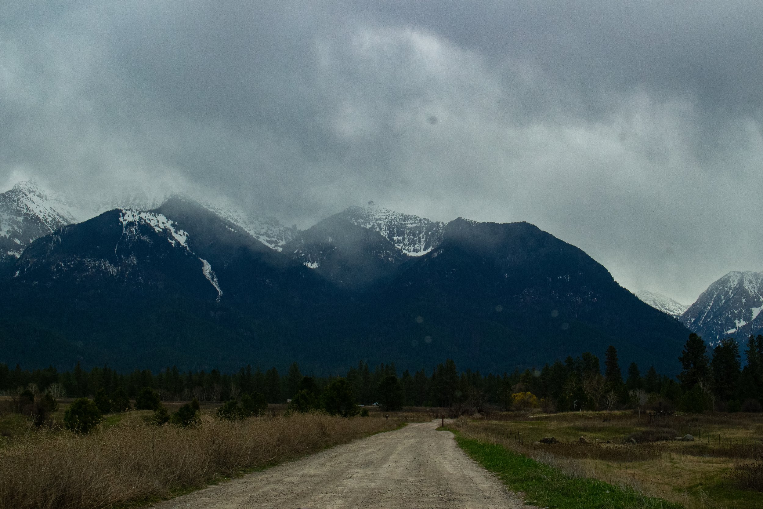 A dirt path in a meadow leads towards a mountain range with snow-capped peaks under a cloudy sky.