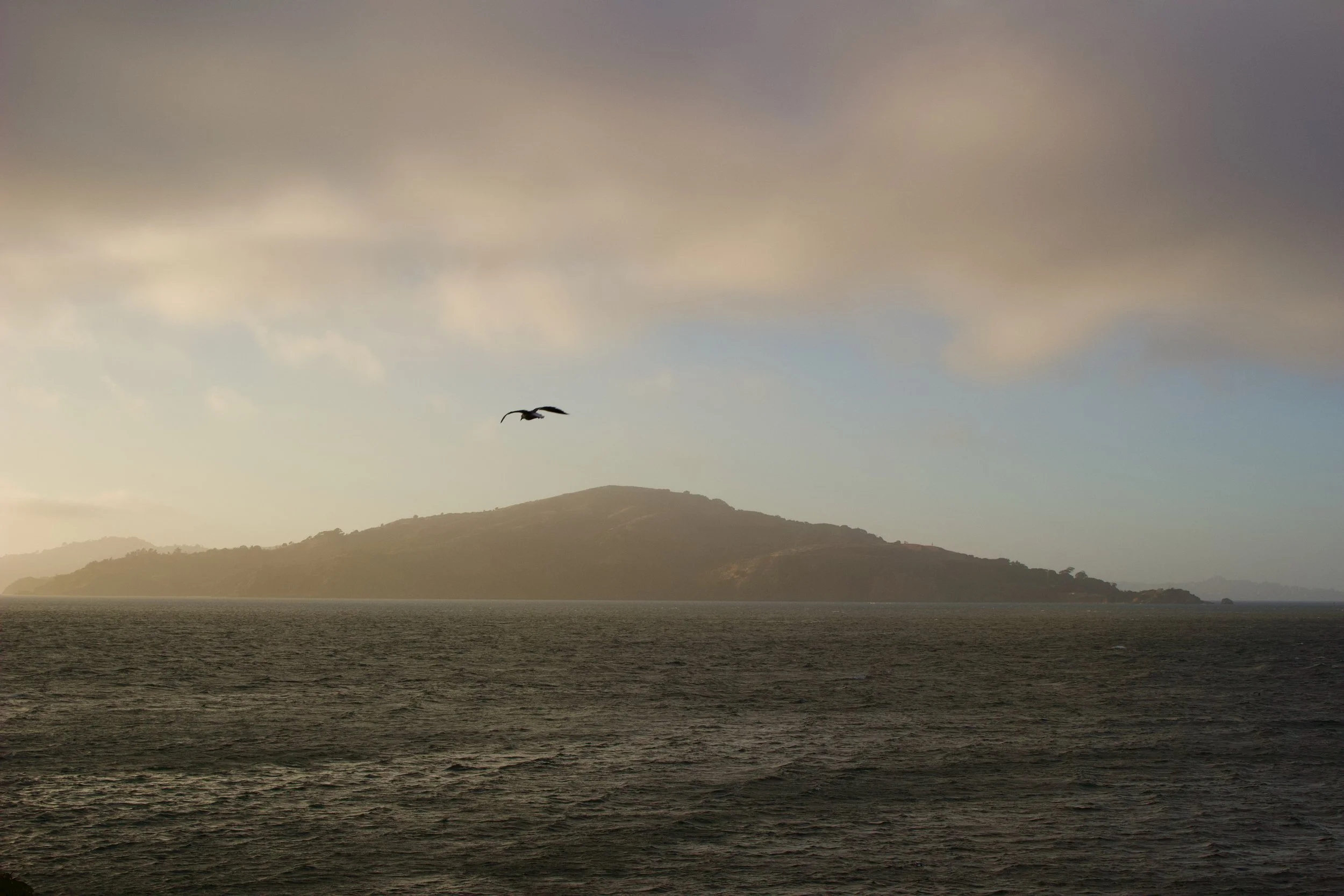 A large body of water with a mountainous island in the background under a cloudy sky, a bird flying above the water.