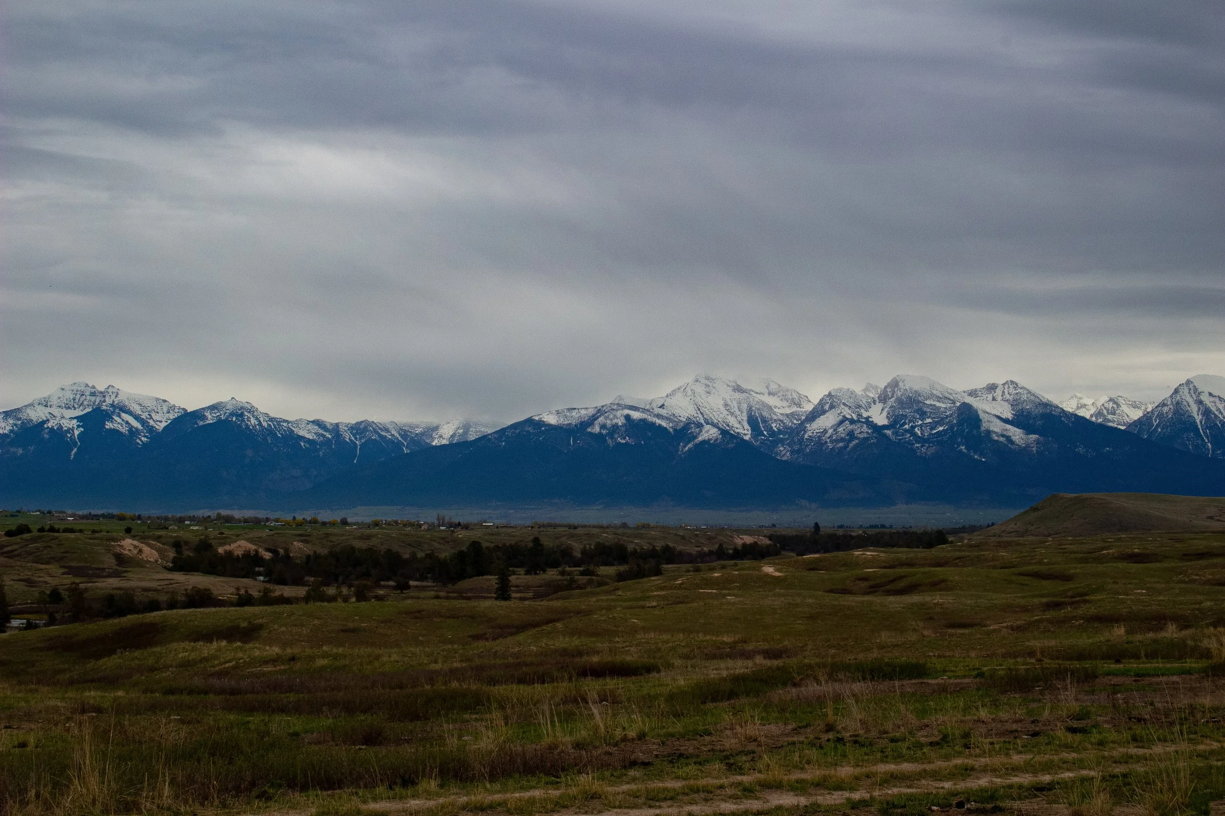 Snow-capped mountains under a cloudy sky with a grassy plain in the foreground.
