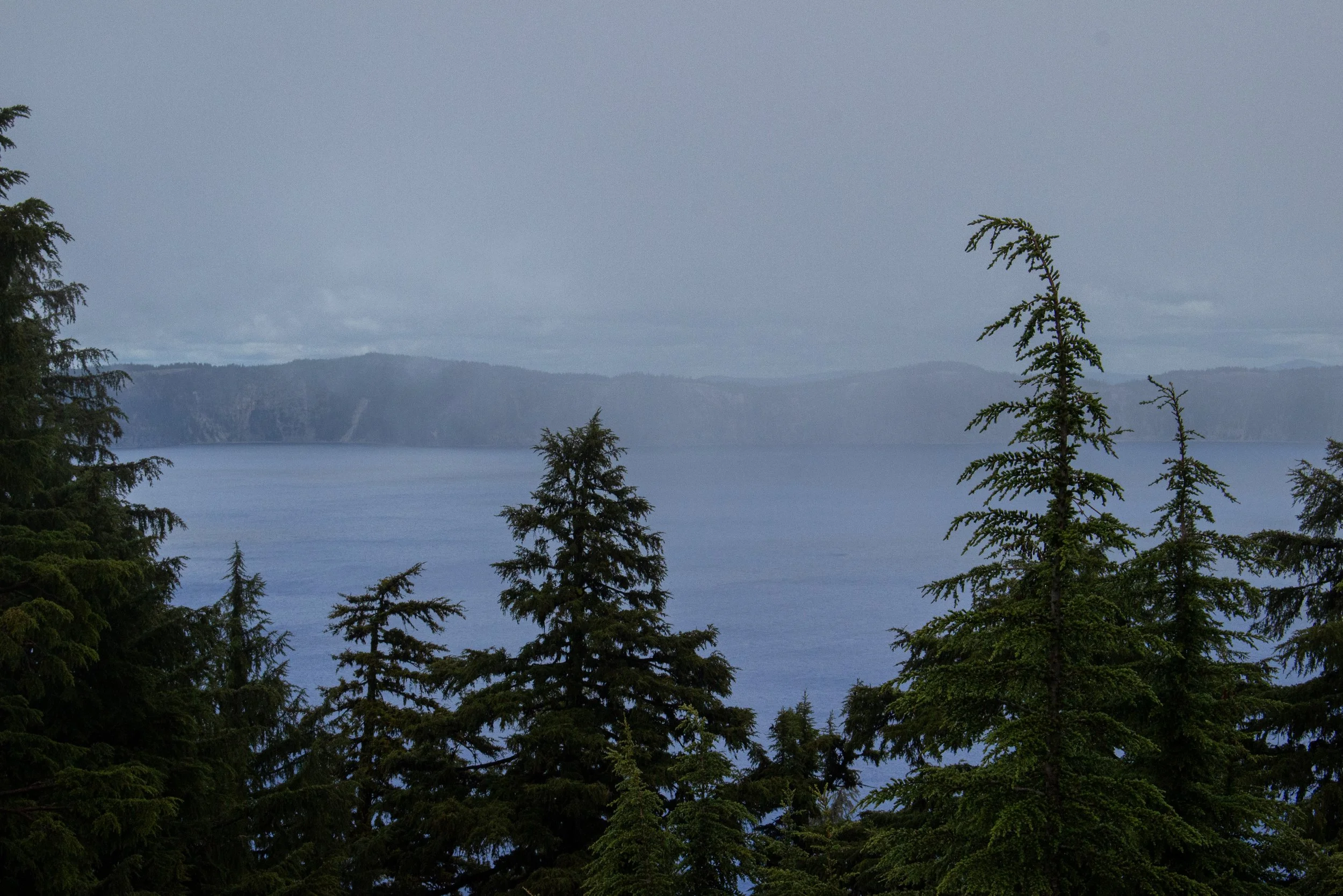 A landscape view of a body of water with distant hills or mountains, framed by tall green evergreen trees in the foreground under a cloudy sky.