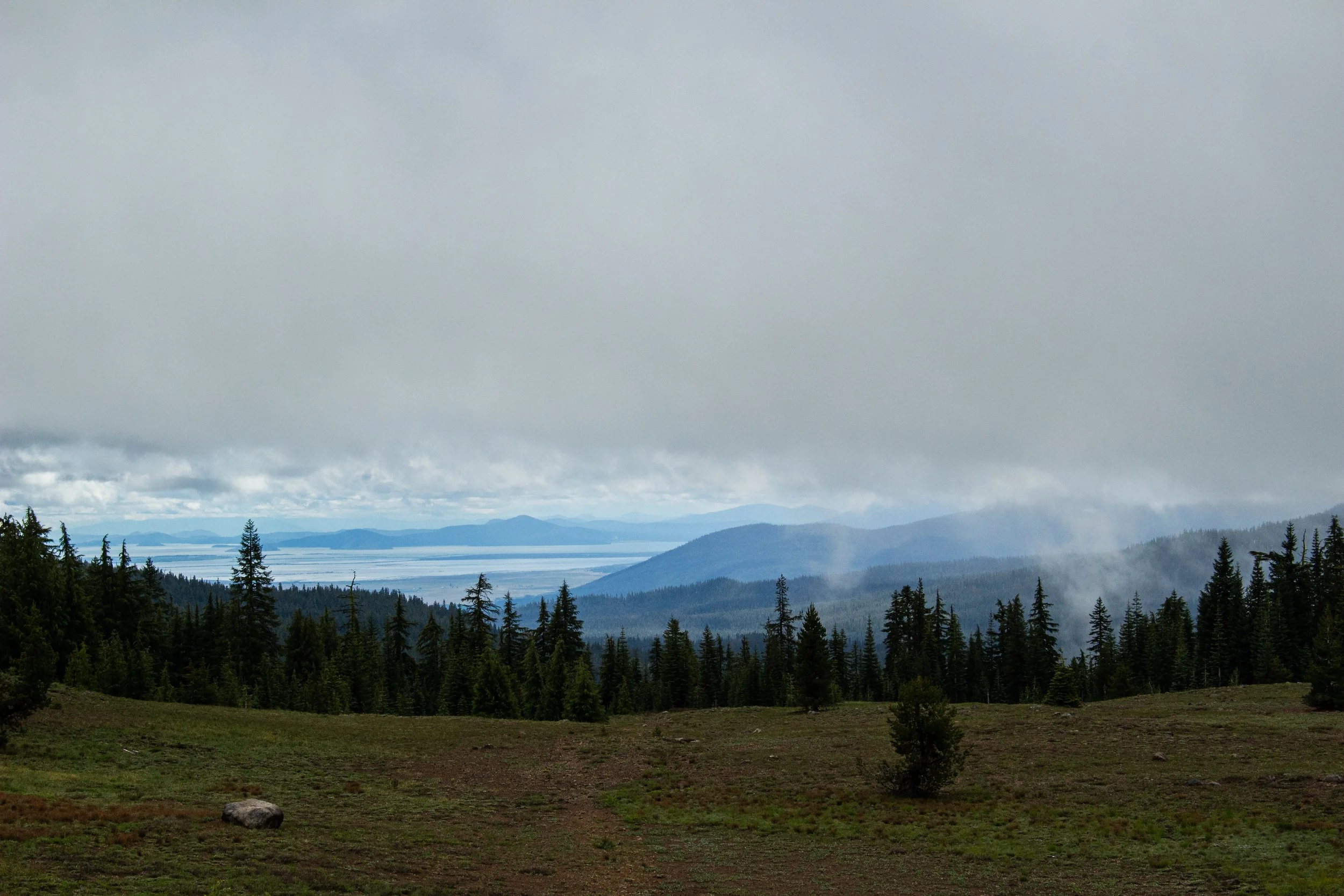 A landscape scene with a grassy foreground, tall evergreen trees, distant mountains, and a large covered area of dark gray clouds partially obscuring the sky.