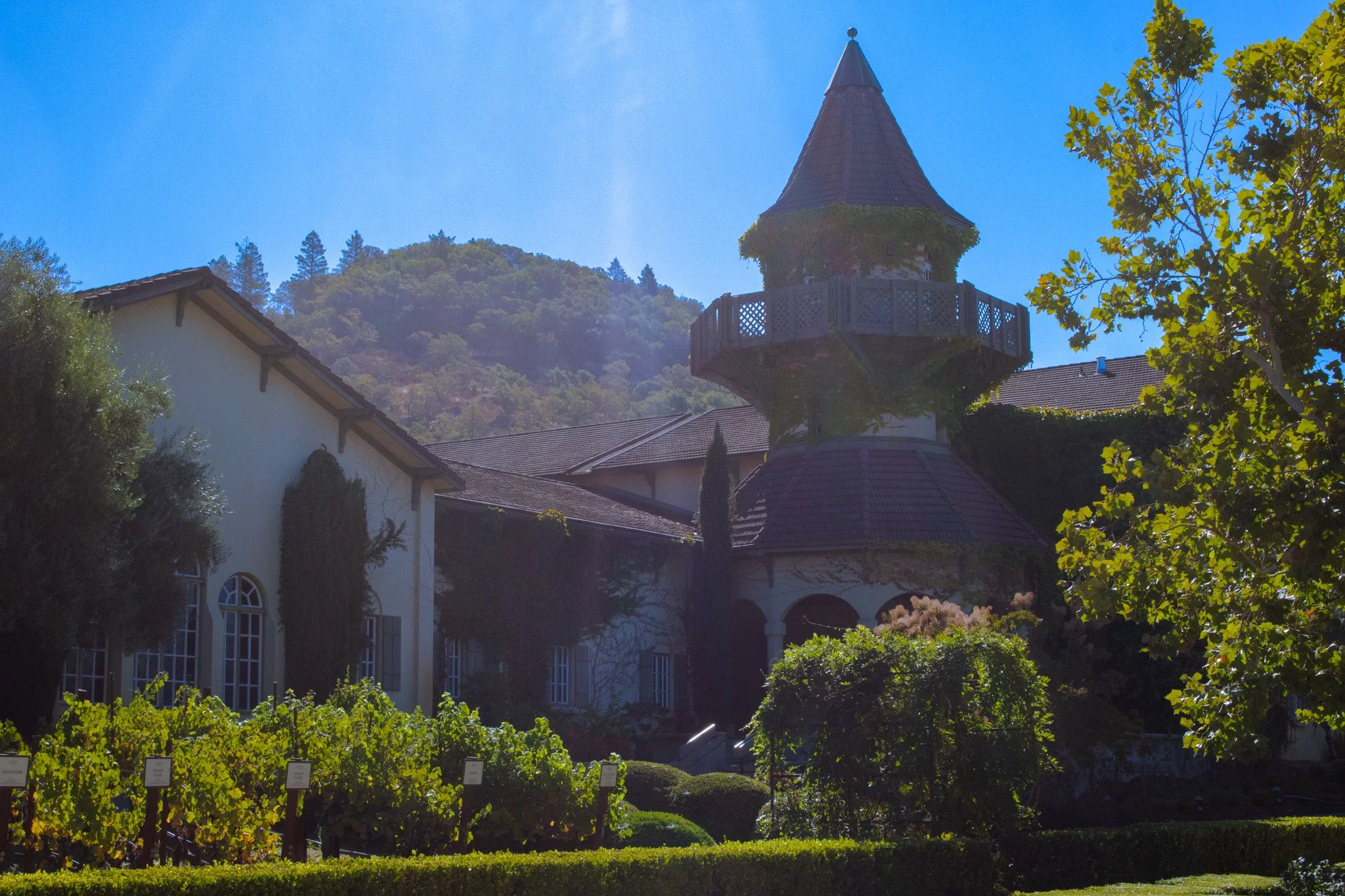 A scenic view of a house with a tall, turret-like structure surrounded by trees and a vineyard, with hills in the background under a bright blue sky.