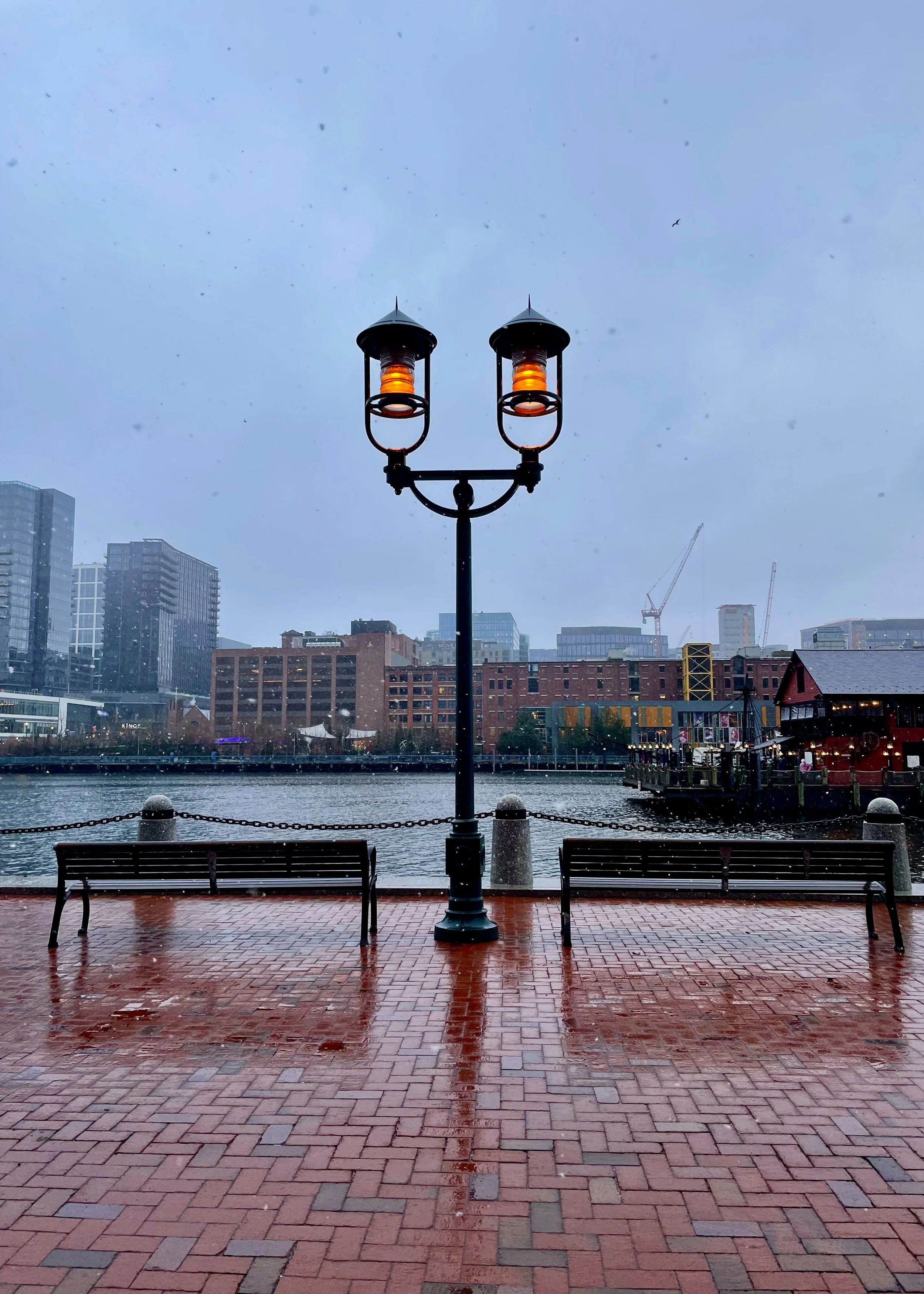Empty benches along a waterfront with a decorative street lamp in front, overcast sky, and city buildings with cranes in the background.