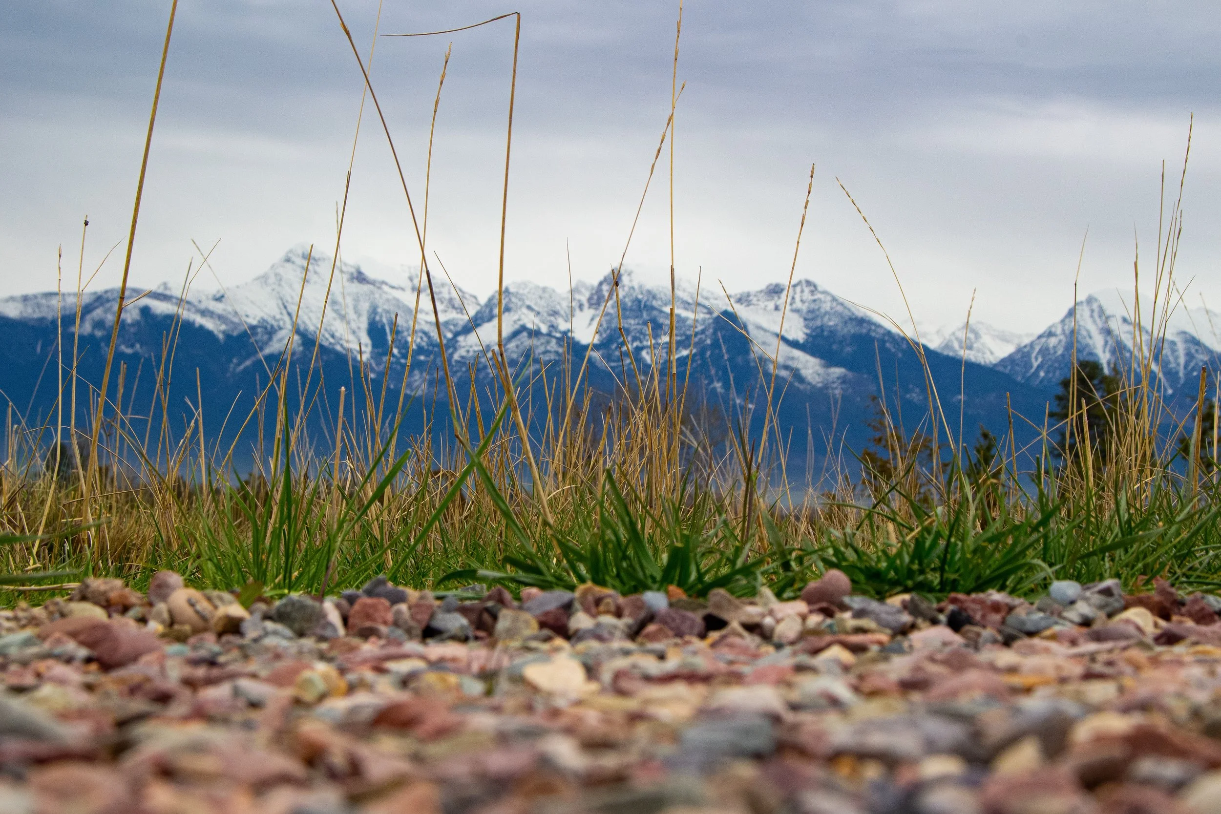 Close-up of gravel and pebbles on the ground, with tall grass and a snowy mountain range in the background under a cloudy sky.