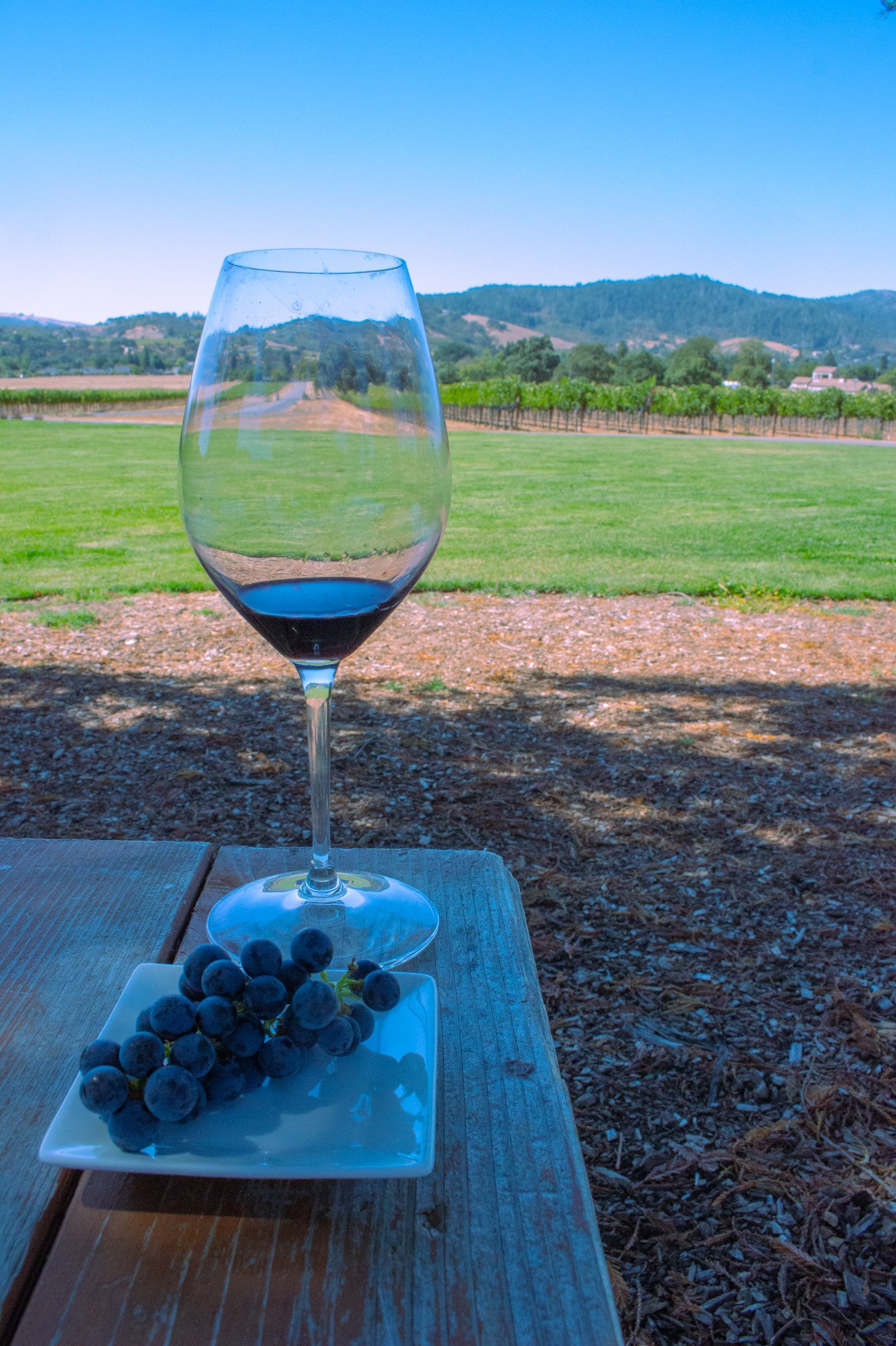 A glass of red wine on a wooden table outdoors with a white plate of grapes and a scenic landscape of vineyards and hills in the background.