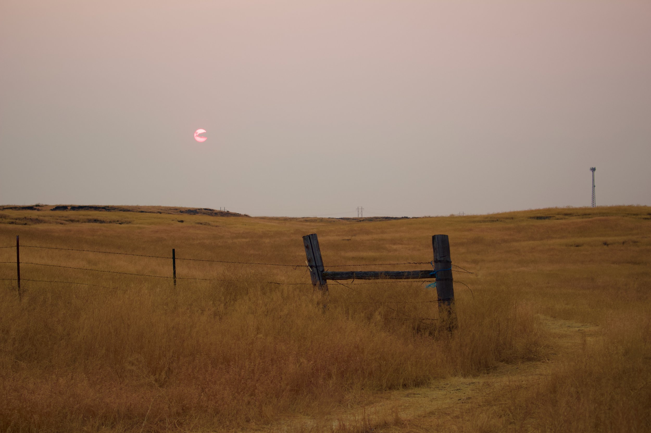 A landscape view of a grassy field with a wire fence and weathered fence posts in the foreground, a hill in the distance, and a mostly cloudy sky with a pink-tinged sun low on the horizon.