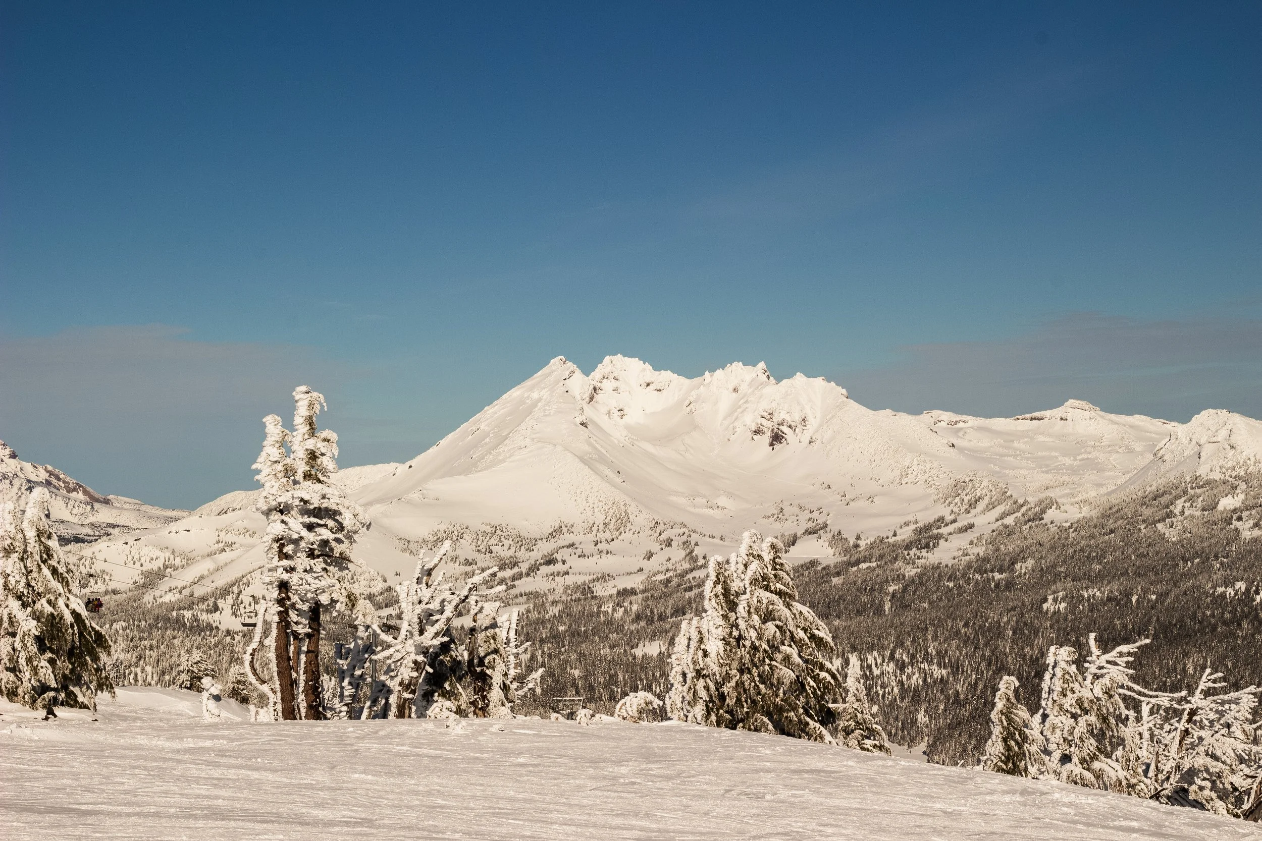 Snow-covered mountain landscape with trees in the foreground and ski lift cables in the lower left corner.