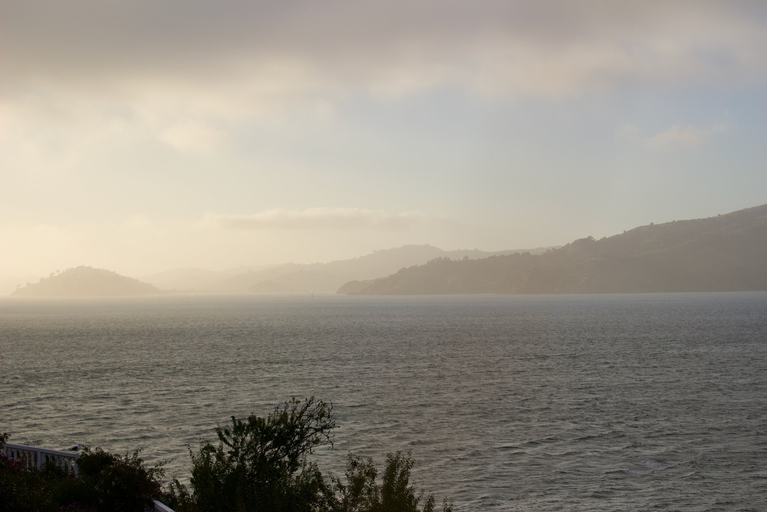 Calm water body with hilly landscape in the distance under a cloudy sky, seen from a foreground with some bushes.