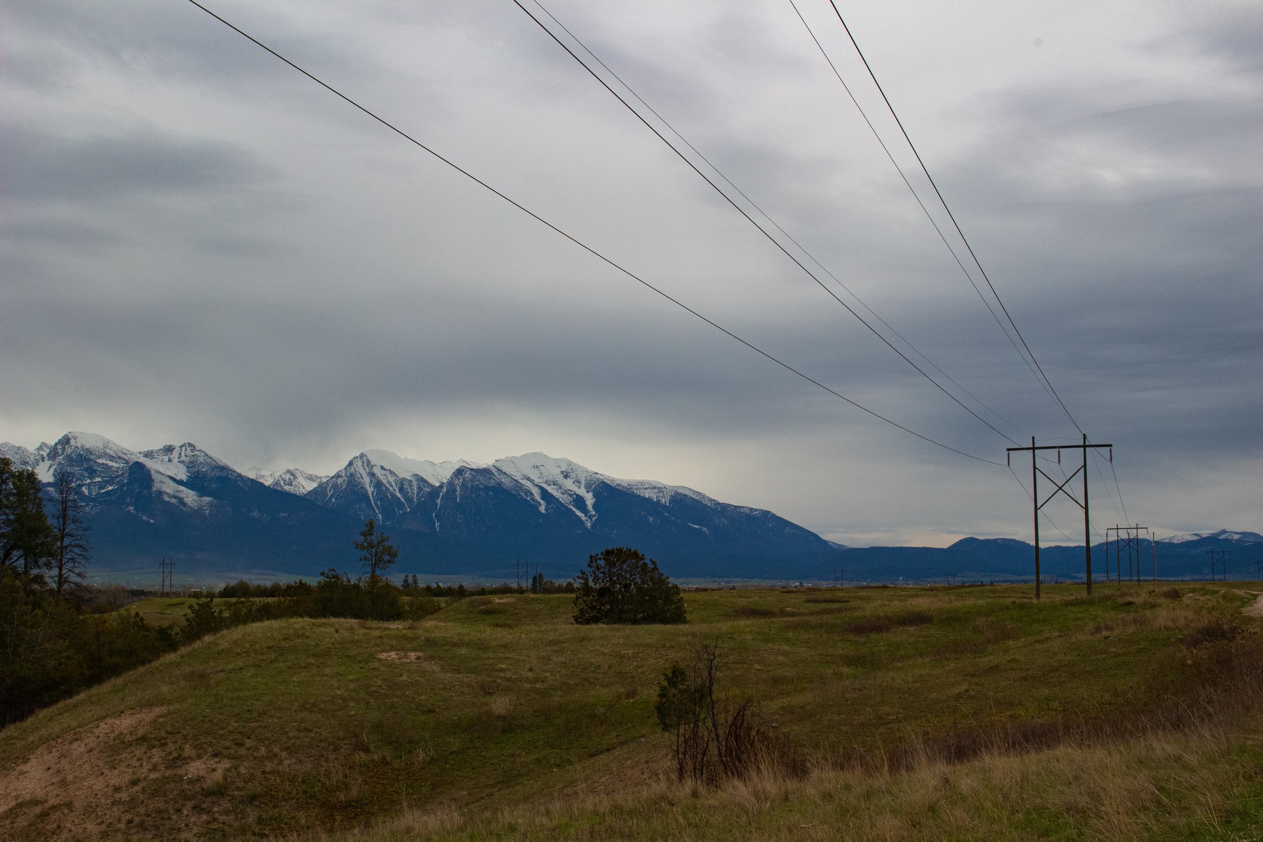 Landscape scene with snow-capped mountains, grassy fields, scattered trees, overcast sky, and power lines.