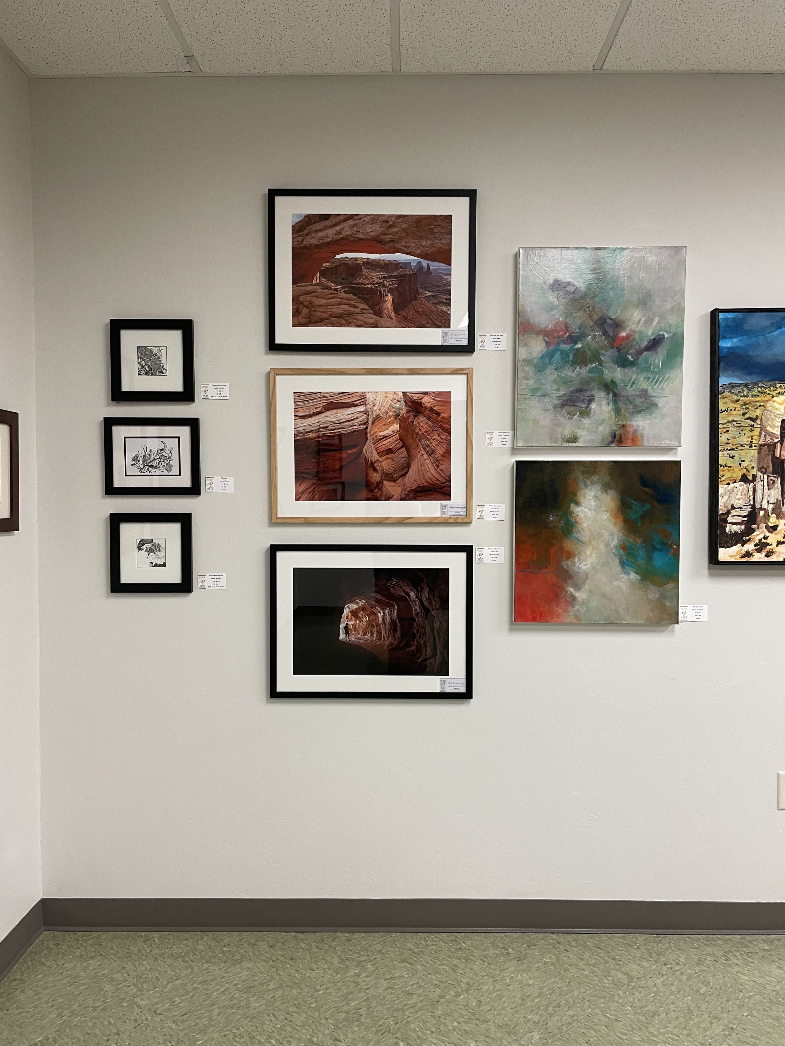 Gallery wall with framed photographs and paintings of desert canyon scenery, mounted on a white wall in an art exhibit space.
