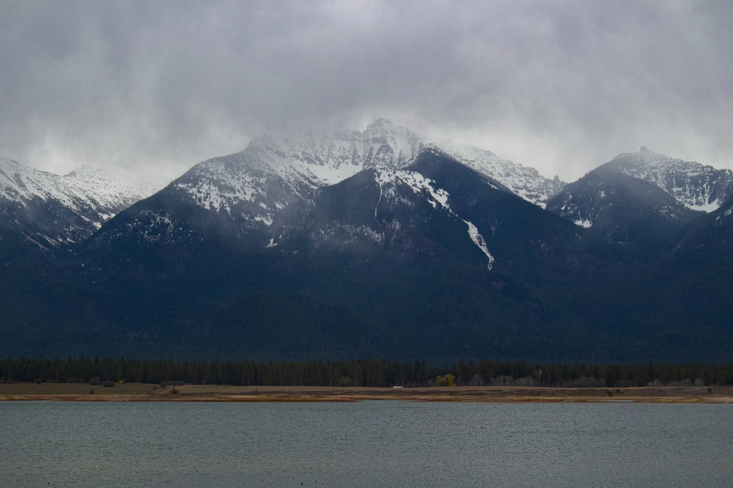 Snow-capped mountains partially covered by clouds, with a forested area at the base and a body of water in the foreground.