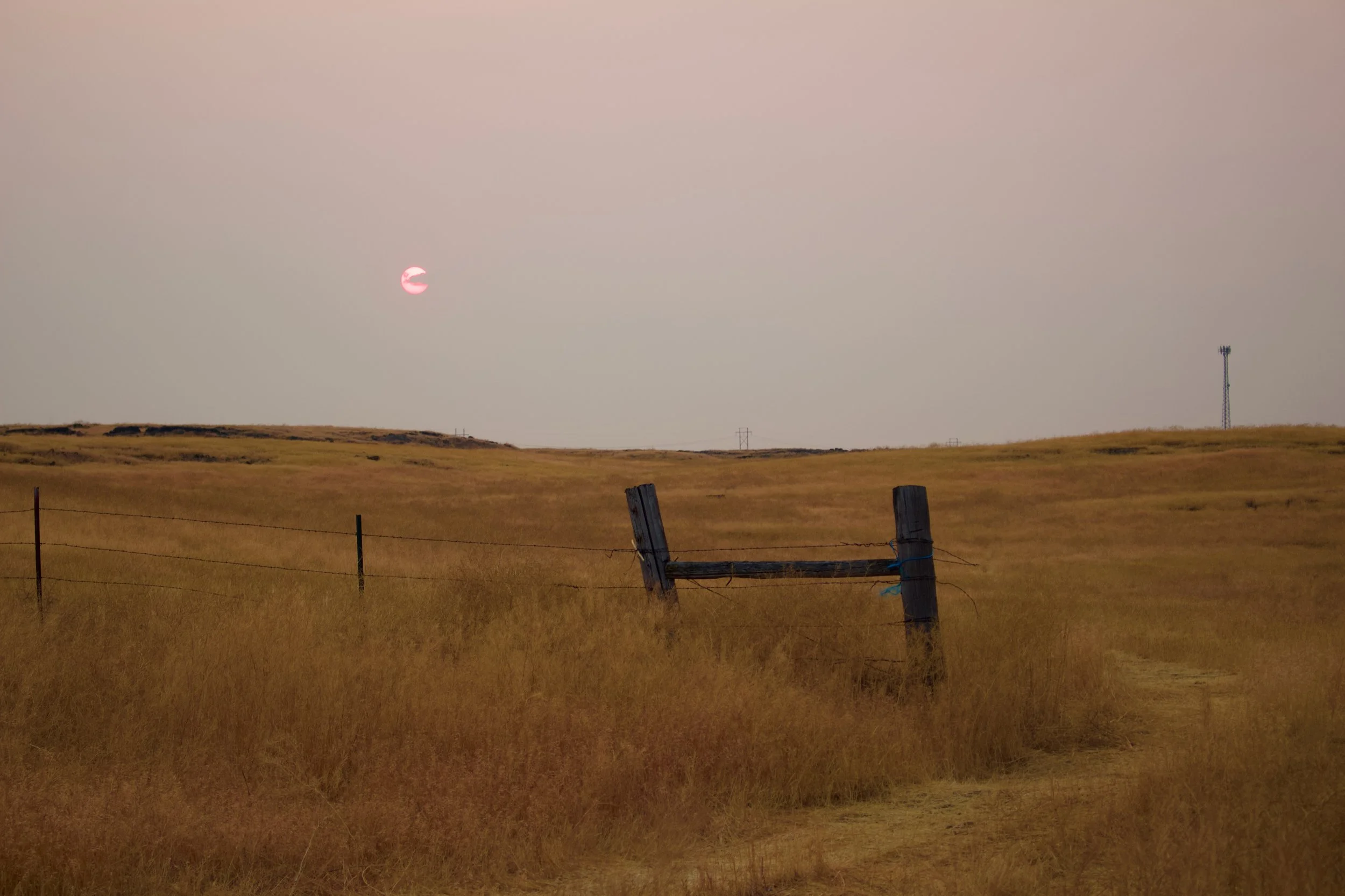 A landscape with open grassy fields, a broken wooden fence in the foreground, a sunset with a pinkish hue, and a tall communication tower in the distance.