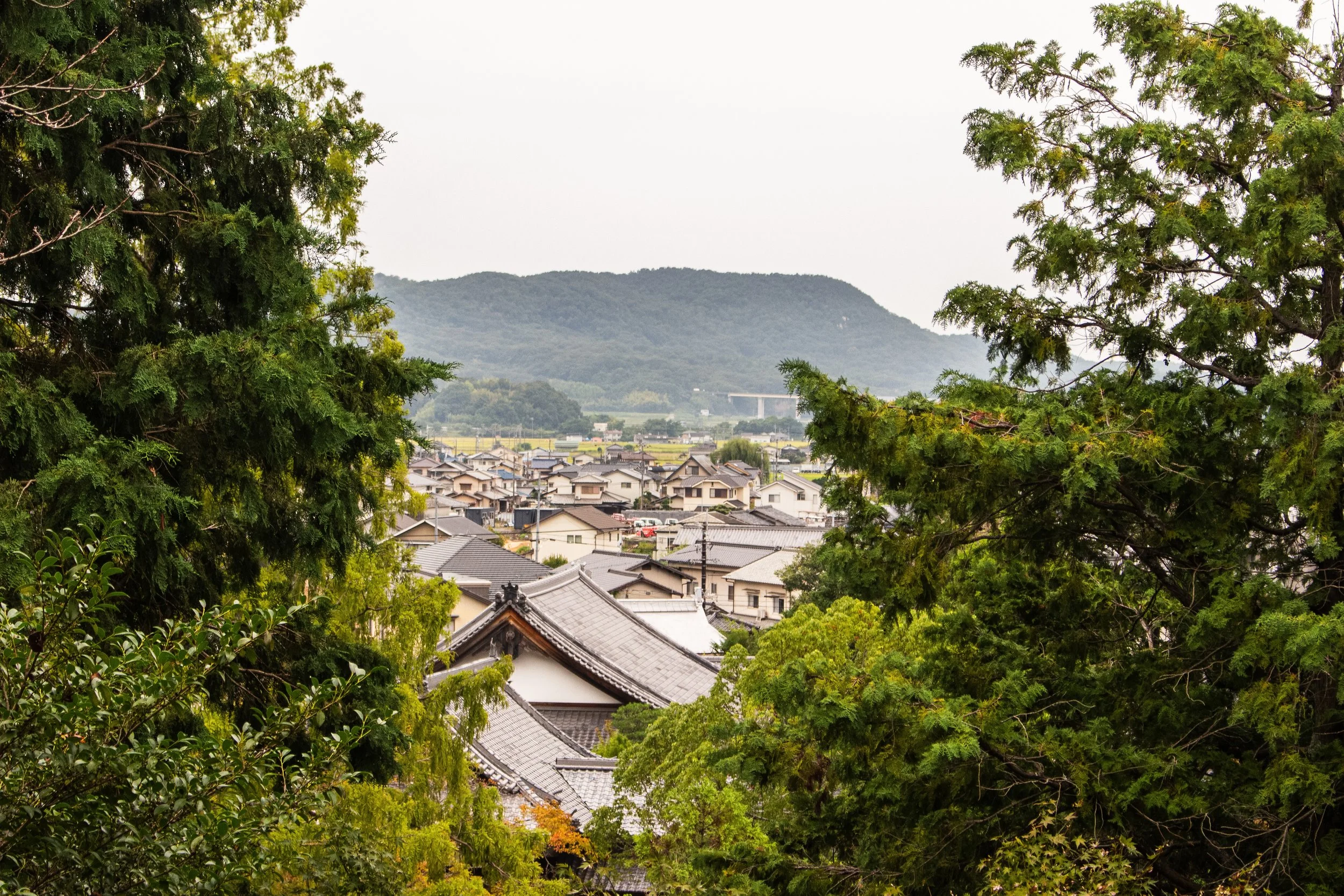 View of a village with traditional houses surrounded by trees, with a mountain in the background under a cloudy sky.