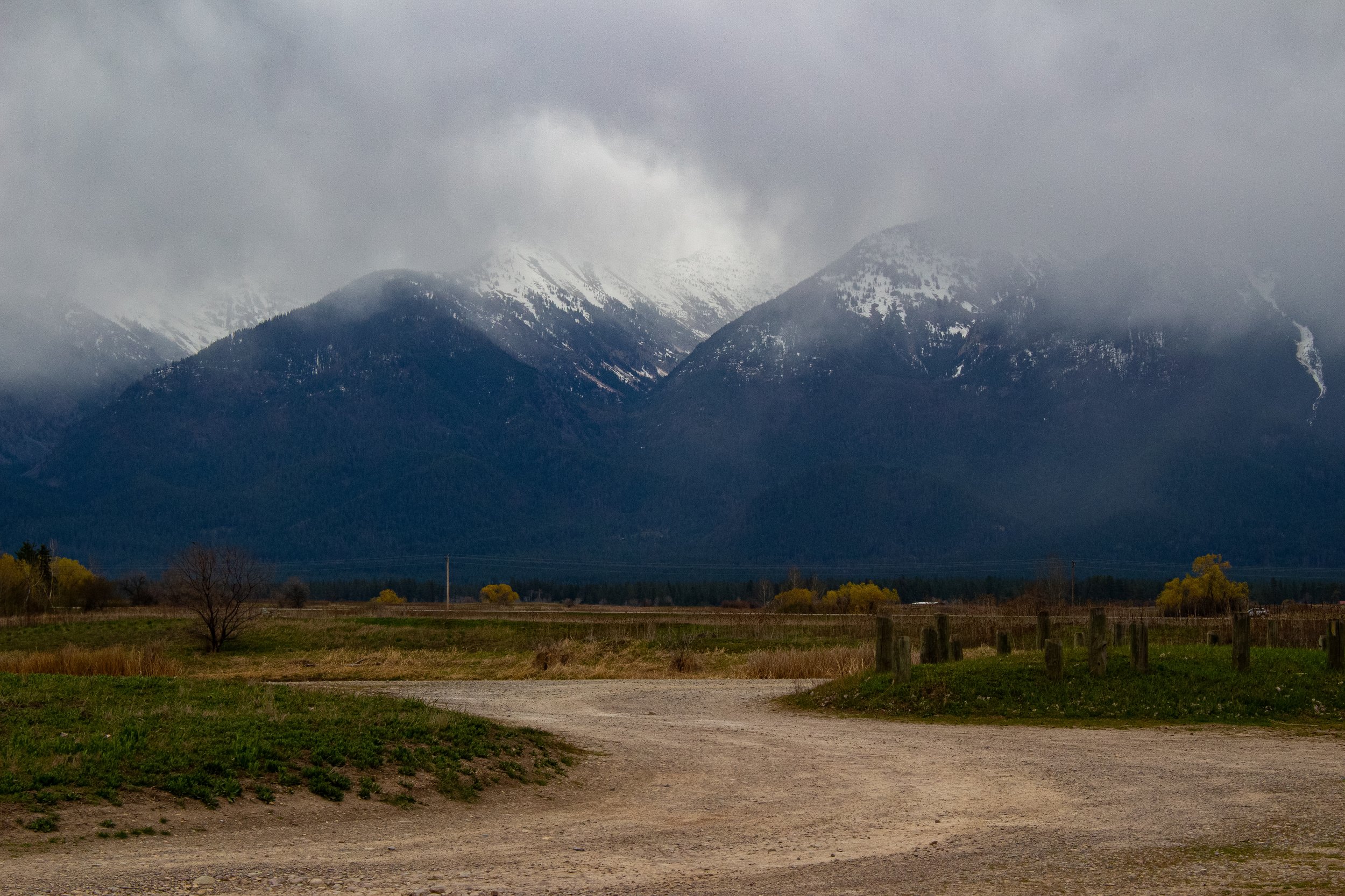 Scene of snow-capped mountains partially covered by thick clouds, viewed from a grassy and dirt foreground with sparse trees.